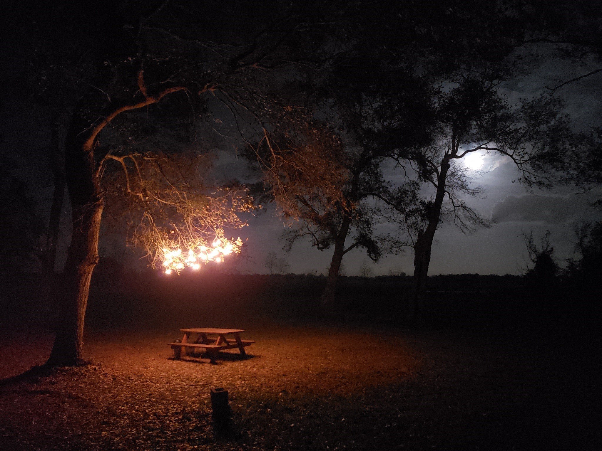 Hockley, Texas, 77447, United States, 2 Bedrooms Bedrooms, ,1 BathroomBathrooms,Residential,For Sale,1974890