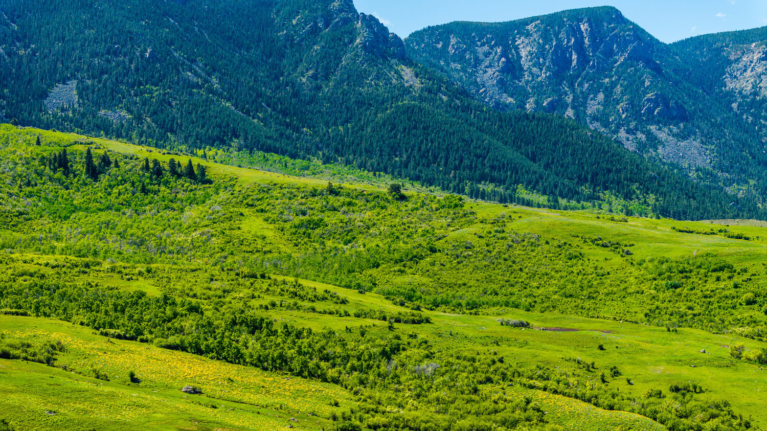 Big Horn, Wyoming, 82833, United States, ,Residential,For Sale,1887054