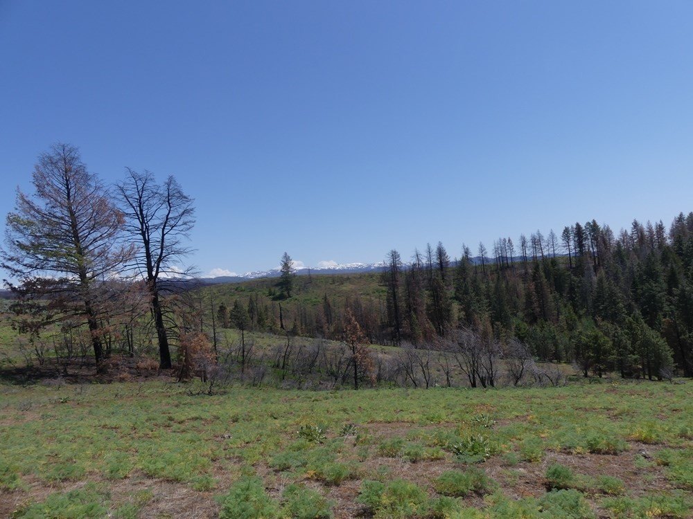Indian Valley, Idaho, 83682, United States, ,Land,For Sale,1976667
