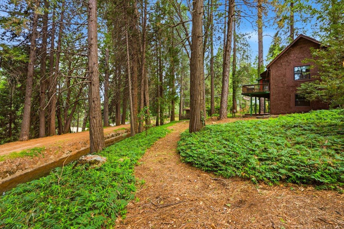 Nevada City, California, 95959, United States, 3 Bedrooms Bedrooms, ,2 BathroomsBathrooms,Residential,For Sale,2037300