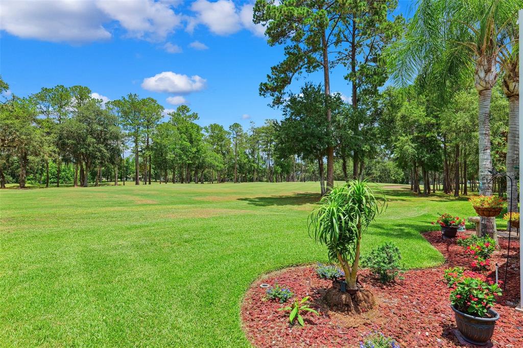 Brooksville, Florida, 34604, United States, 3 Bedrooms Bedrooms, ,2 BathroomsBathrooms,Residential,For Sale,1899949