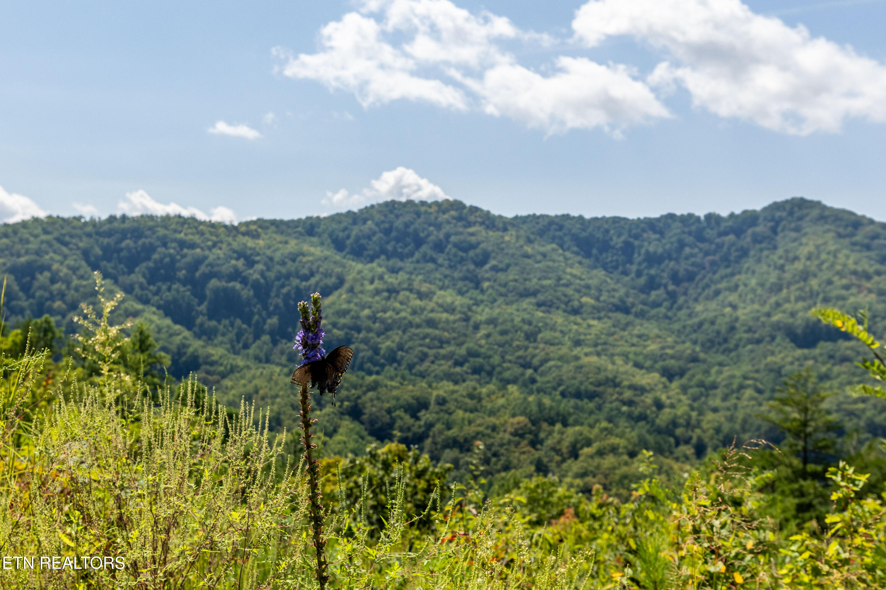 Sevierville, Tennessee, 37862, United States, 3 Bedrooms Bedrooms, ,3 BathroomsBathrooms,Residential,For Sale,1979377