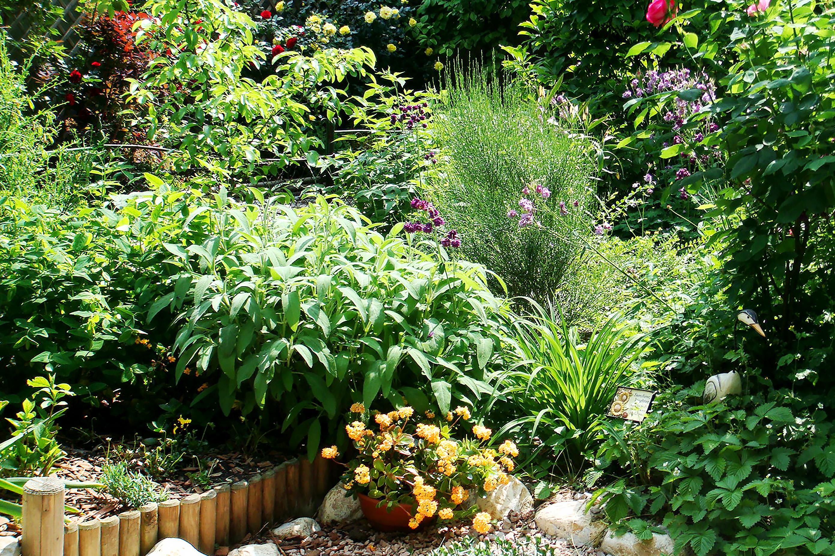  Historic Mansion with Secret Garden in the Heart of Bucharest - 物件實景