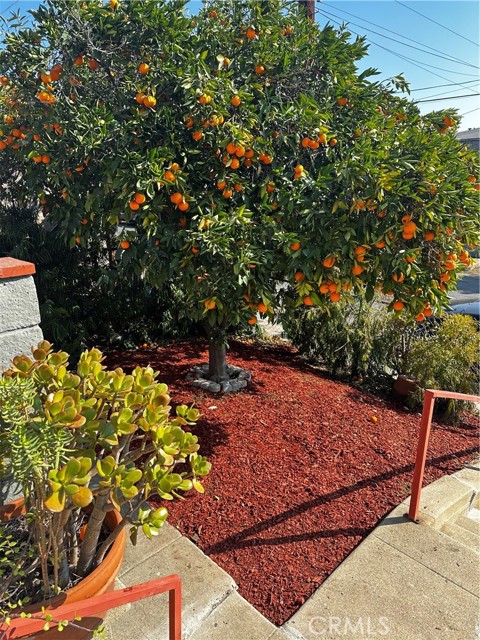 4943 Granada St, Los Angeles, California, 90042, United States, 4 Bedrooms Bedrooms, ,2 BathroomsBathrooms,Residential,For Sale,4943 Granada St,1680250