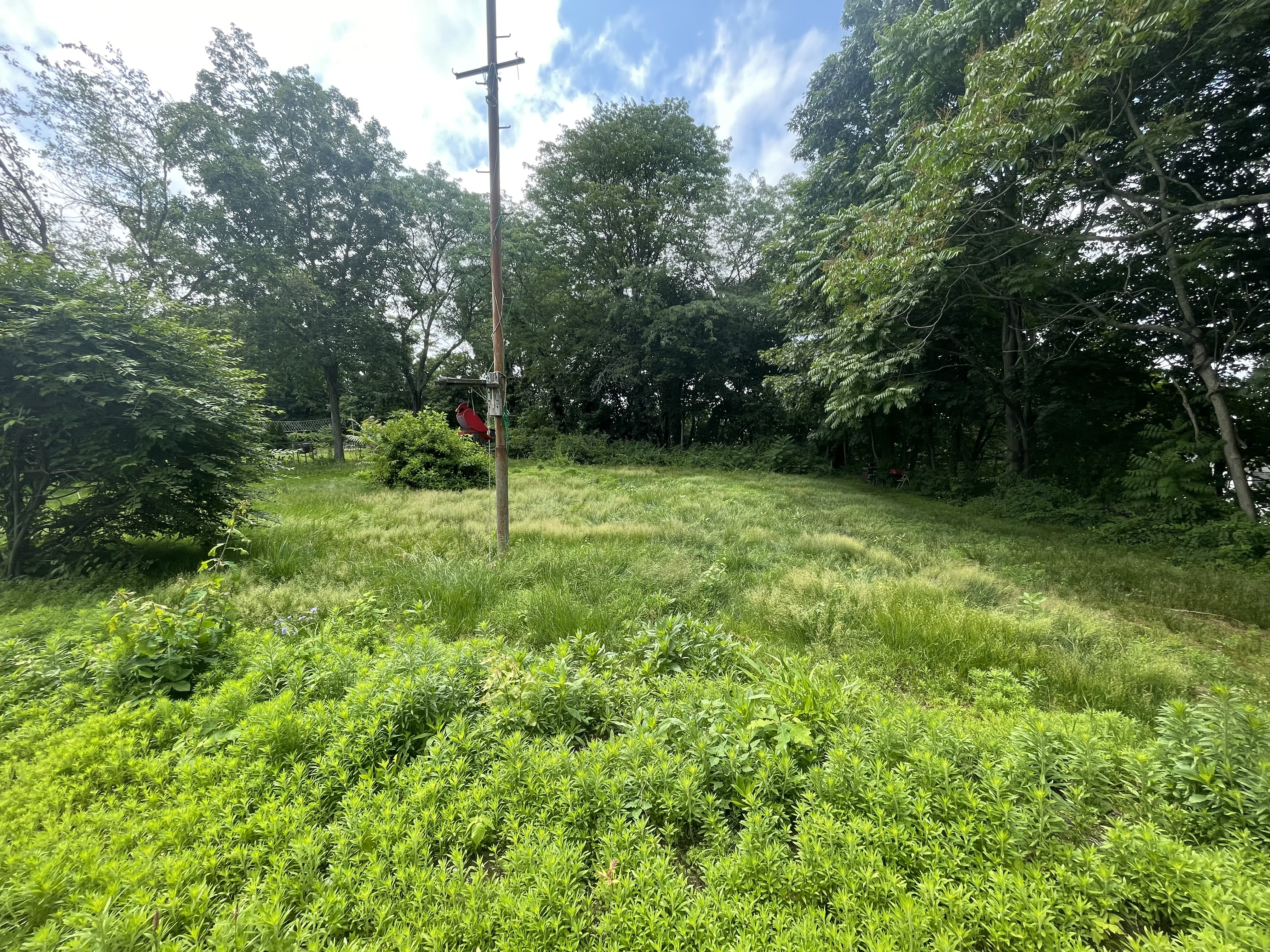 Waterbury, Connecticut, 06706, United States, 8 Bedrooms Bedrooms, ,6 BathroomsBathrooms,Residential,For Sale,1921464