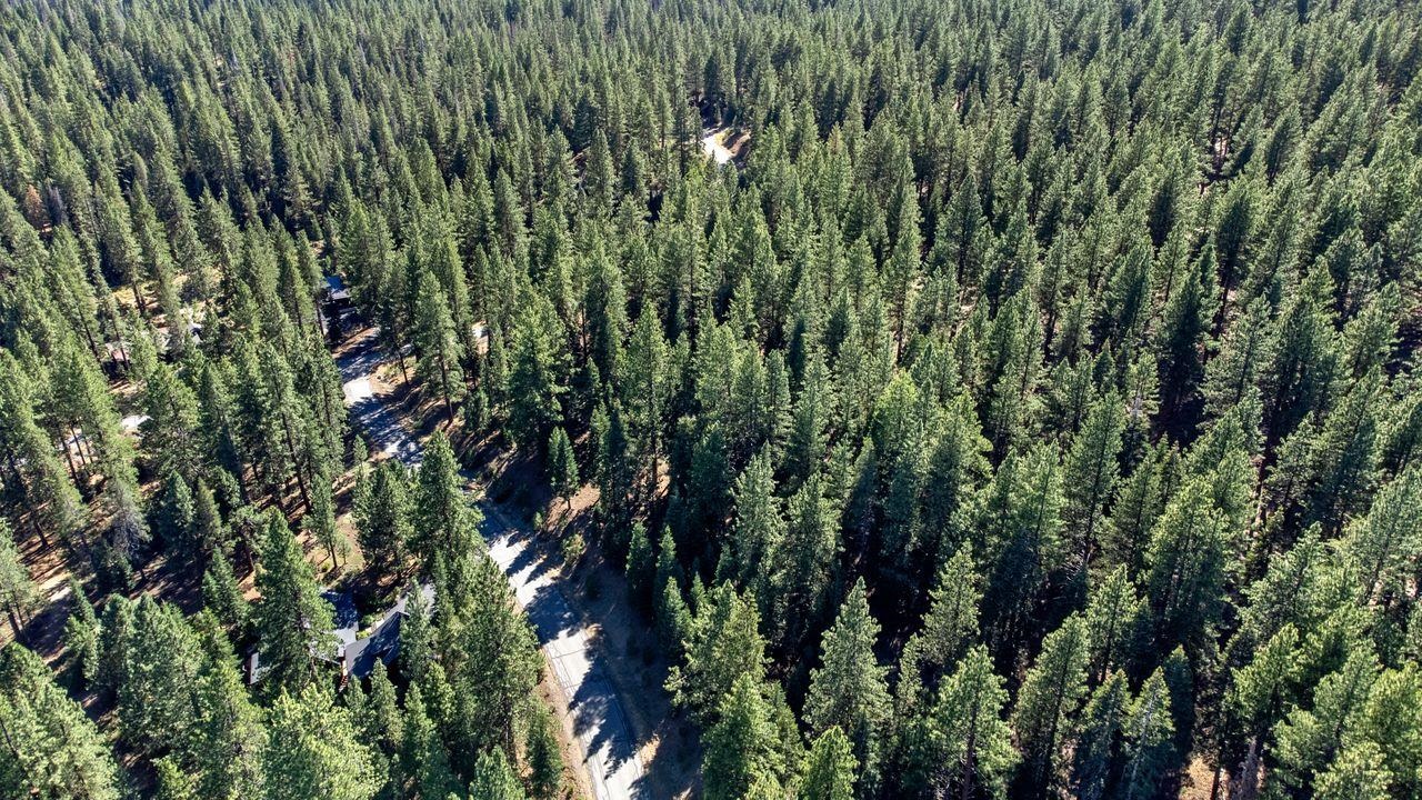 Truckee, California, 96161, United States, ,Land,For Sale,1818006