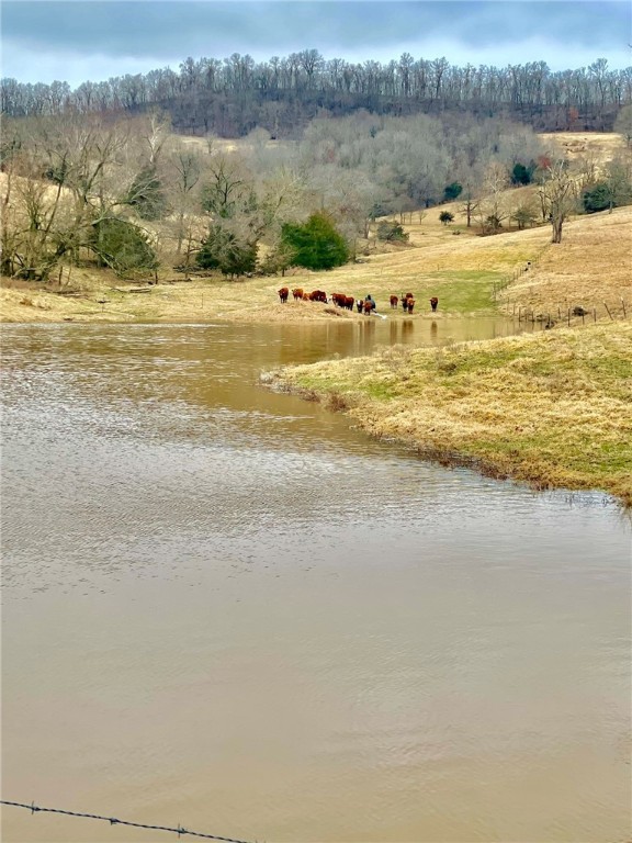 Berryville, Arkansas, 72616, United States, 6 Bedrooms Bedrooms, ,4 BathroomsBathrooms,Residential,For Sale,1988341