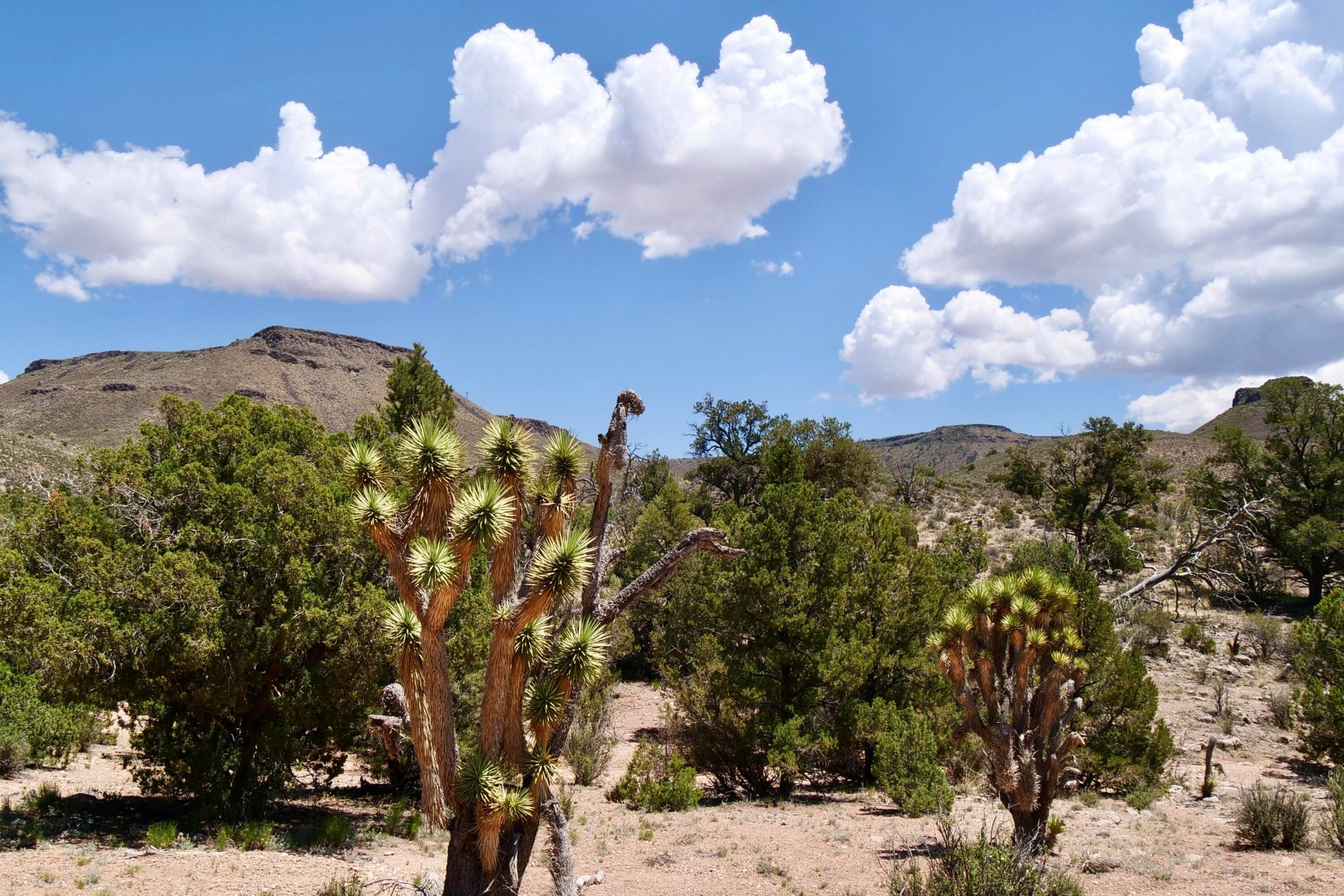  5838 E Diamond Bar Road ¦ Meadview, AZ - 物件實景