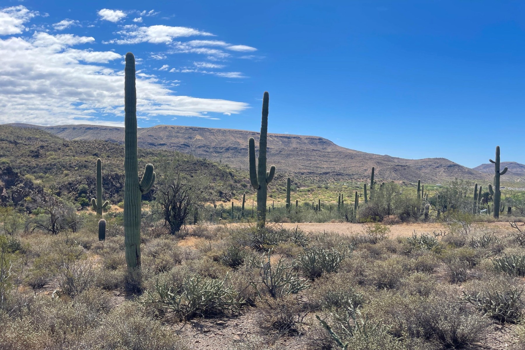  31900 S Tillys Trail¦Black Canyon City, AZ - 物件實景