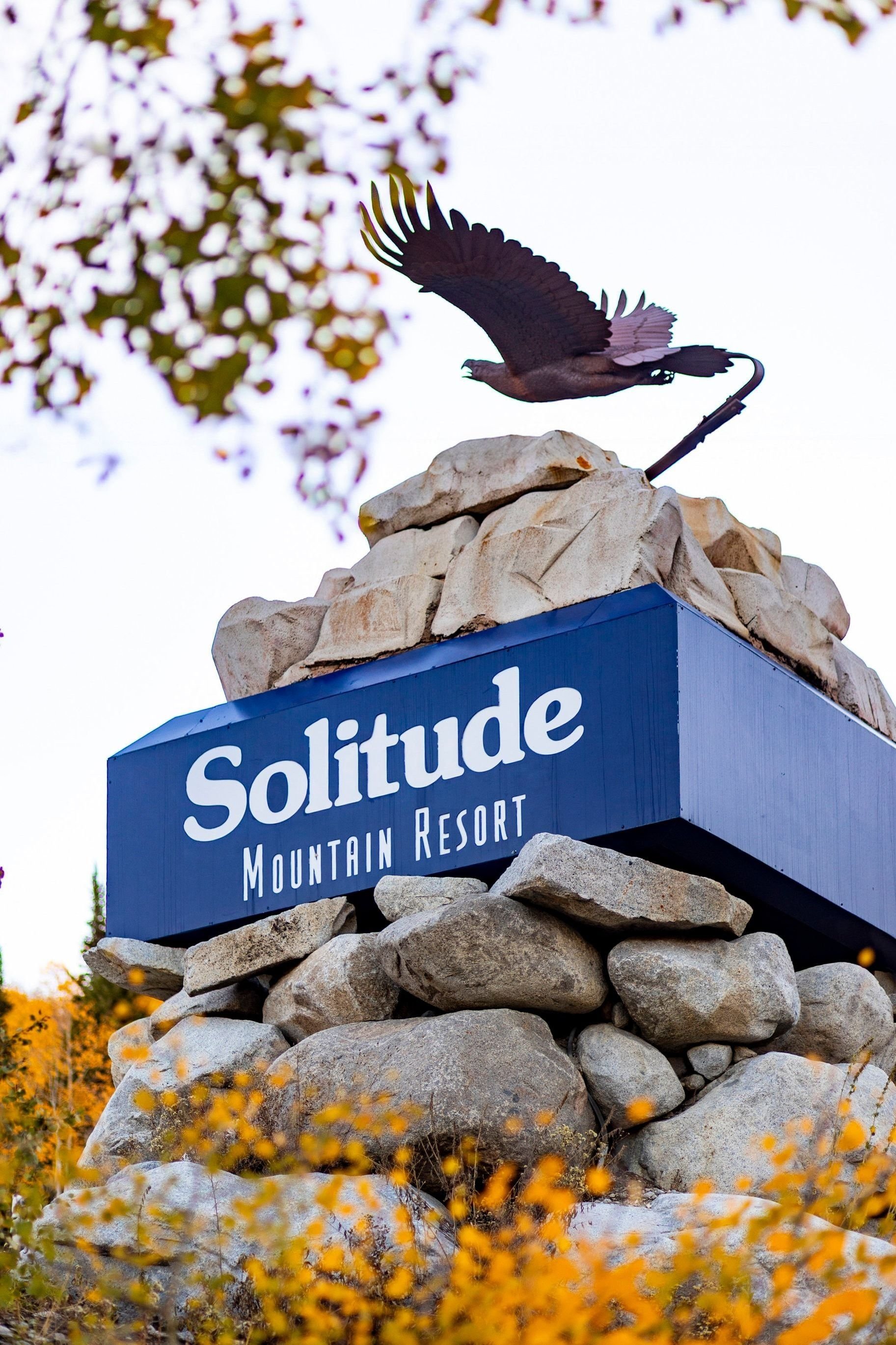  New Luxury Boutique Ski Condos at the Mouth of Big Cottonwood Canyon - 物件實景