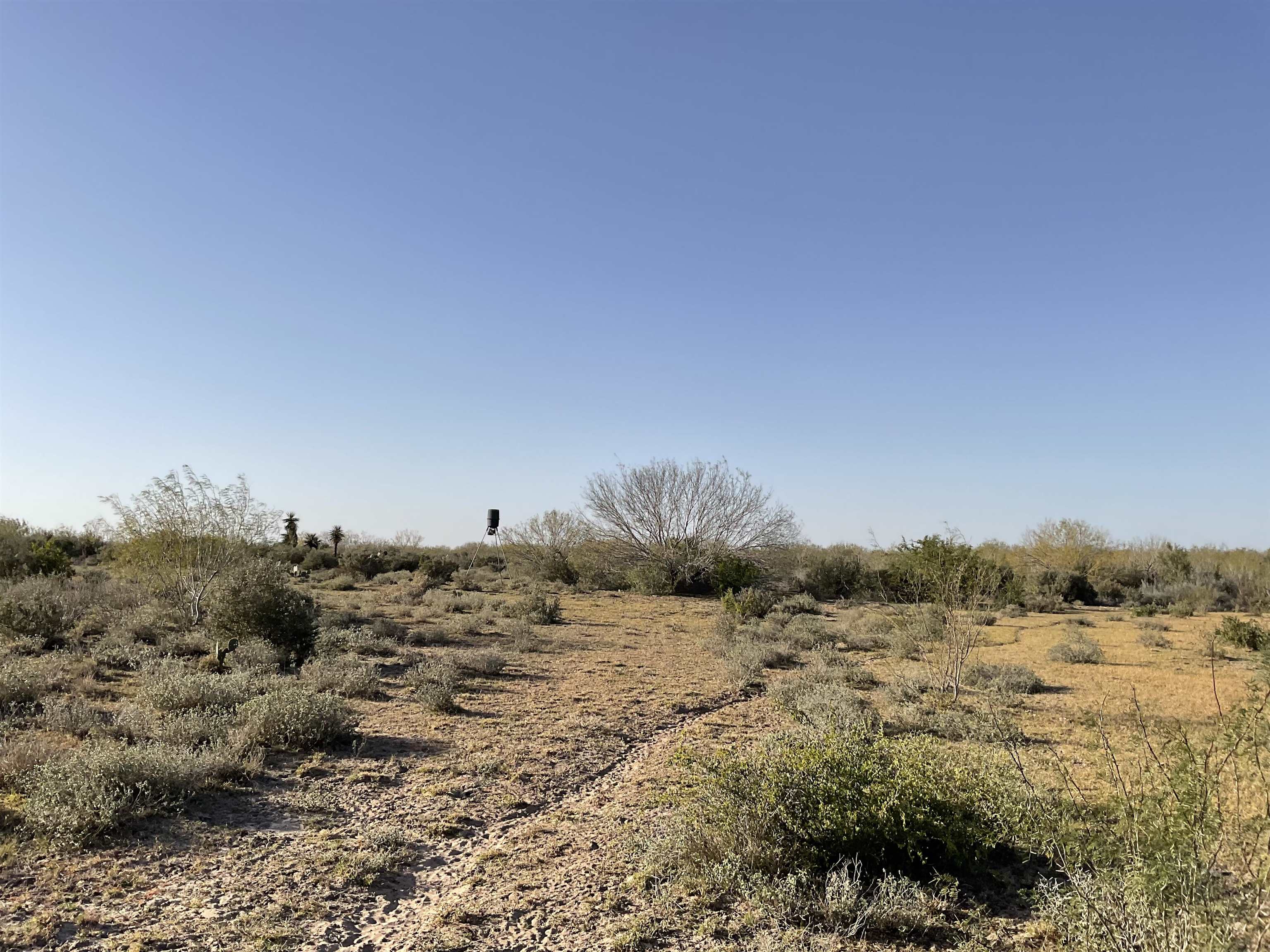 Laredo, Texas, 78046, United States, ,Land,For Sale,1877626