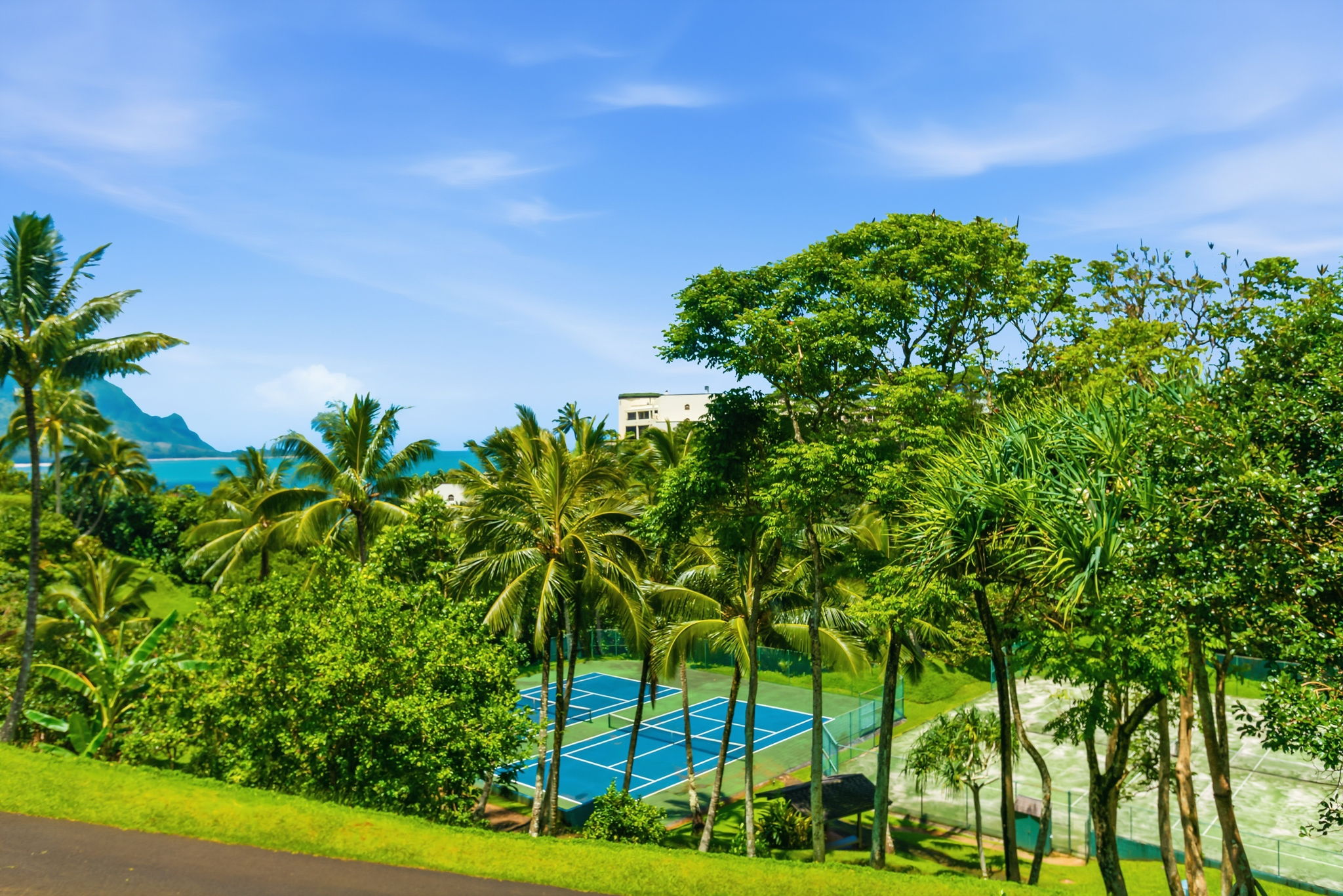  5380 Honoiki Rd, Unit# 8131/32 Princeville, HI, 96722 - 物件實景