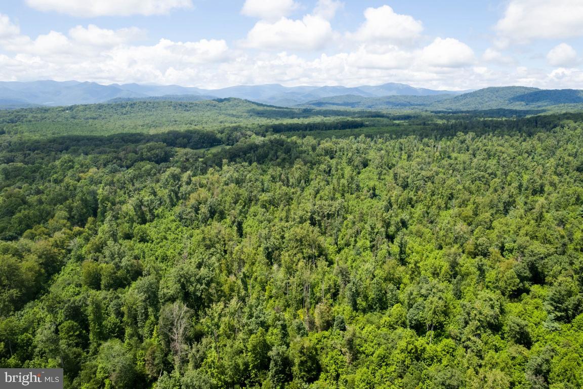 Reva, Virginia, 22735, United States, ,Residential,For Sale,1982526