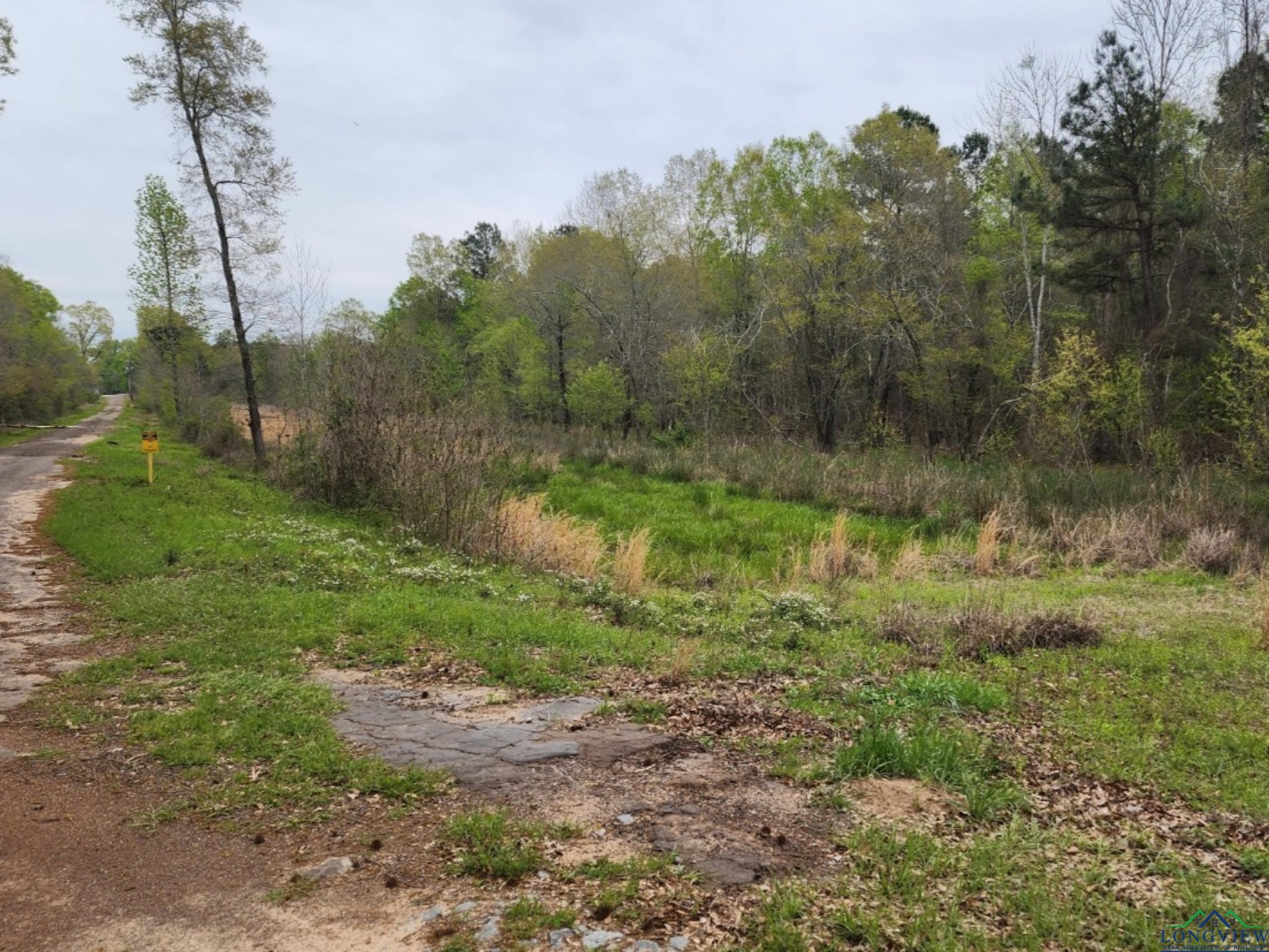 Longview, Texas, 75603, United States, ,Land,For Sale,1913485