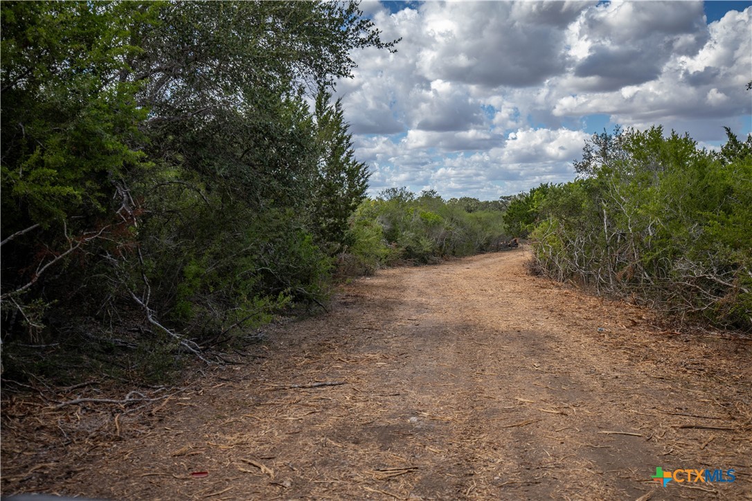 Cuero, Texas, 77954, United States, ,Residential,For Sale,1963995
