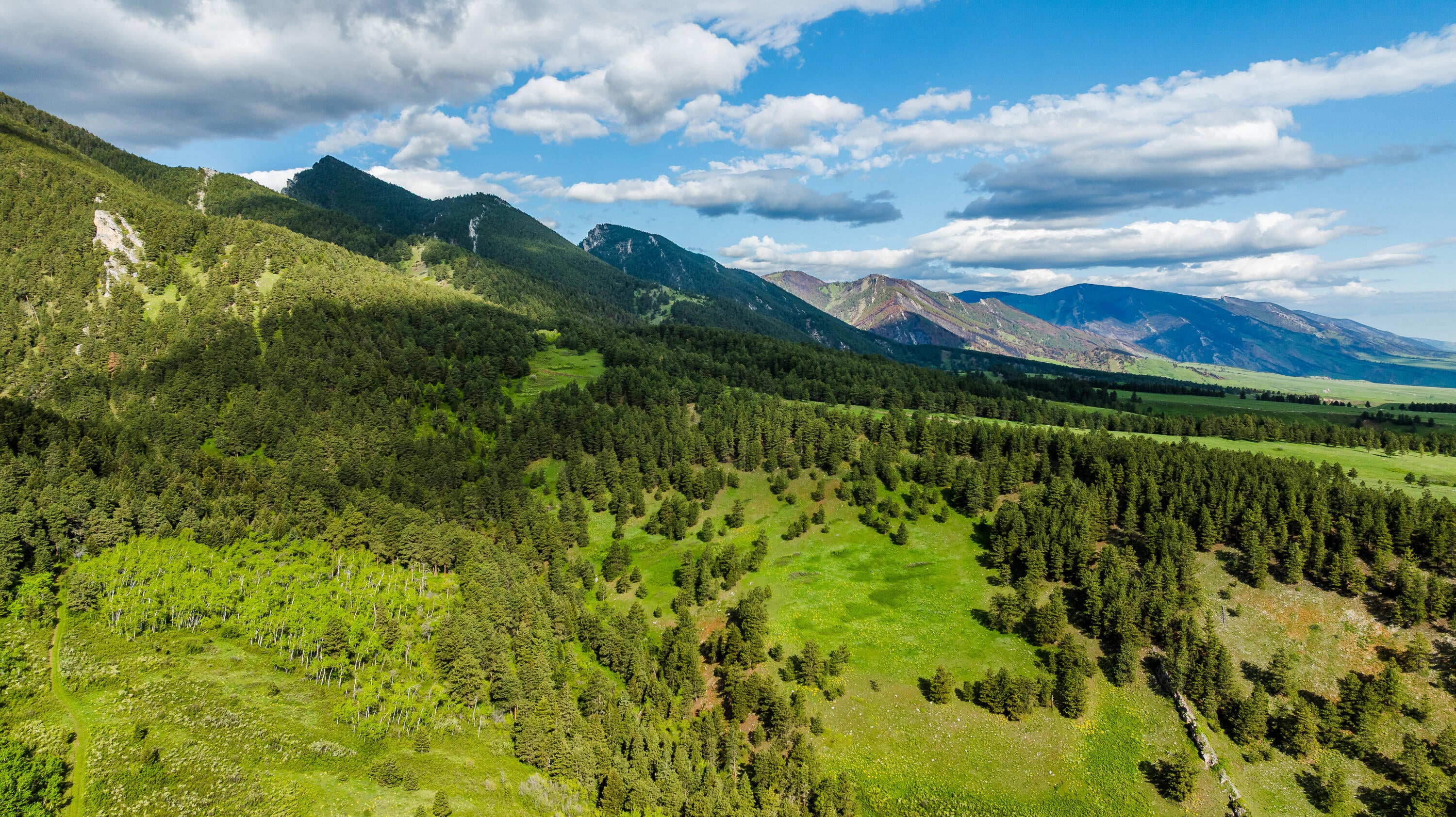 Big Horn, Wyoming, 82833, United States, ,Residential,For Sale,2011314