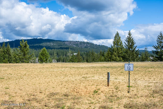 Coeur d'Alene, Idaho, 83814, United States, ,Residential,For Sale,1942579
