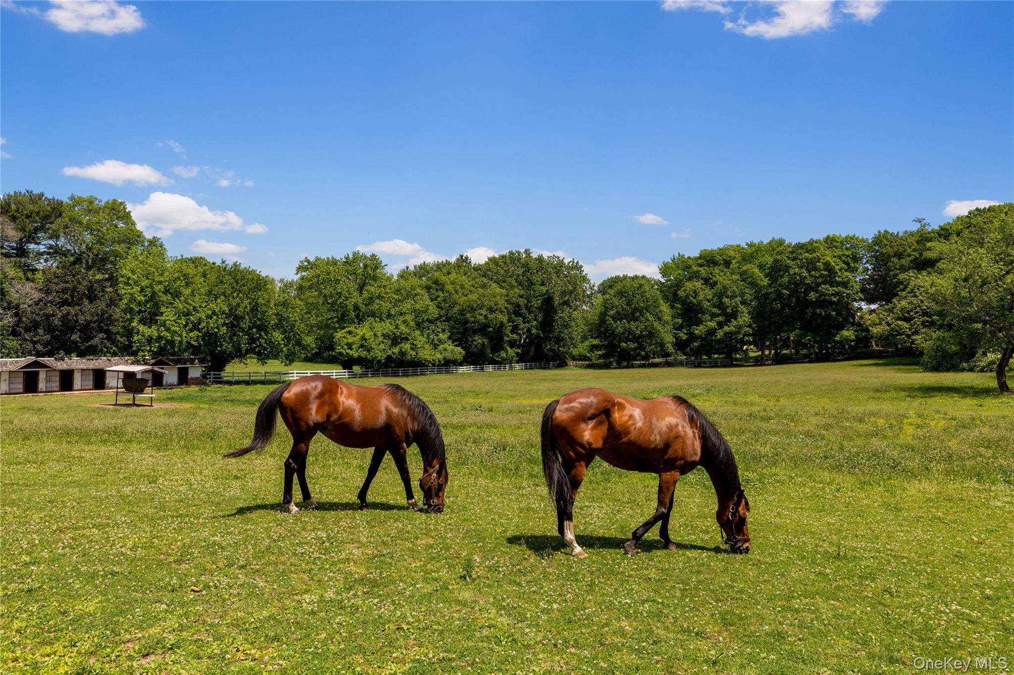  97 A Pound Hollow Road, Old Brookville, NY, 11545 - 物件實景