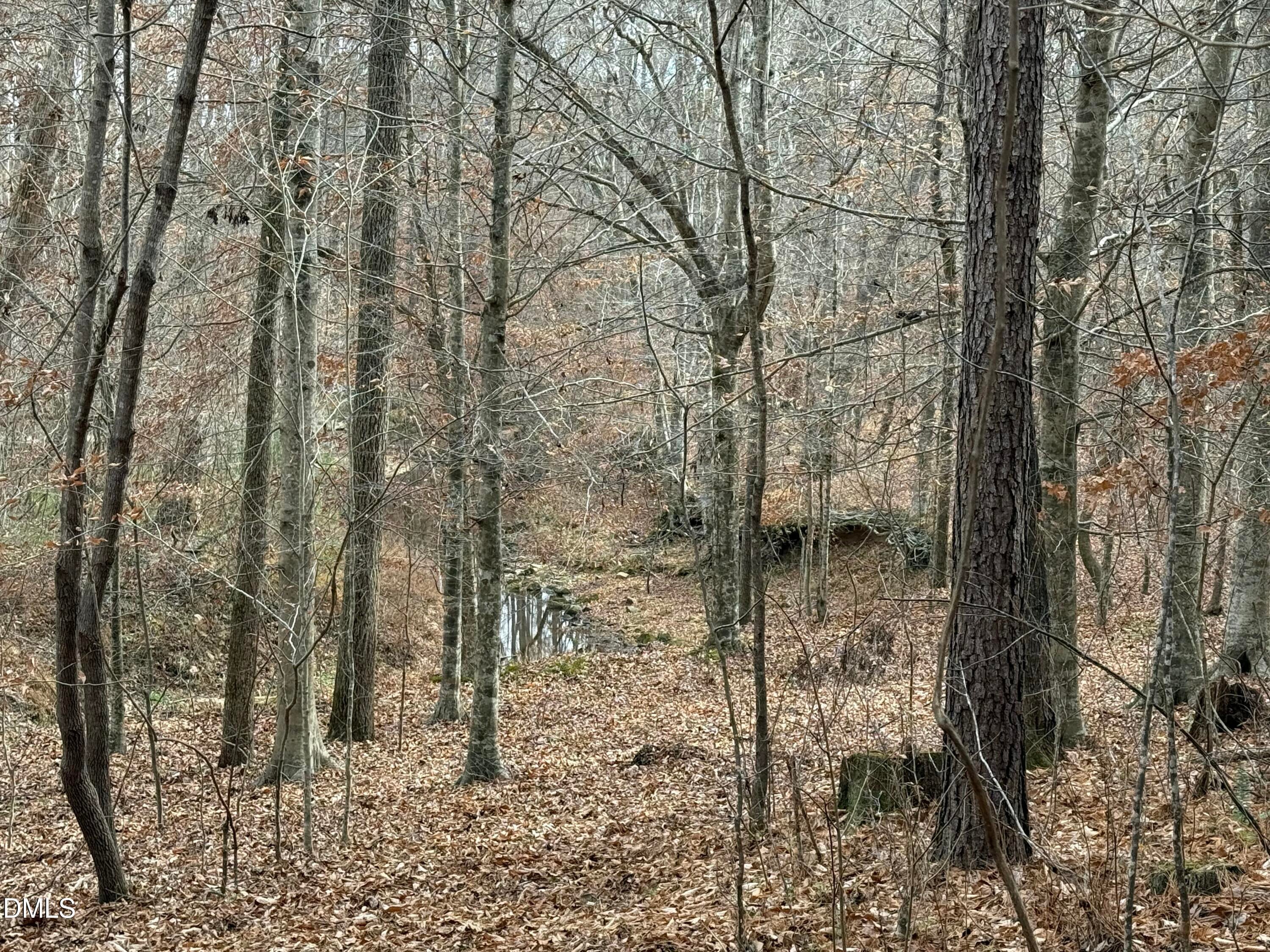 Oxford, North Carolina, 27565, United States, ,Land,For Sale,2000467