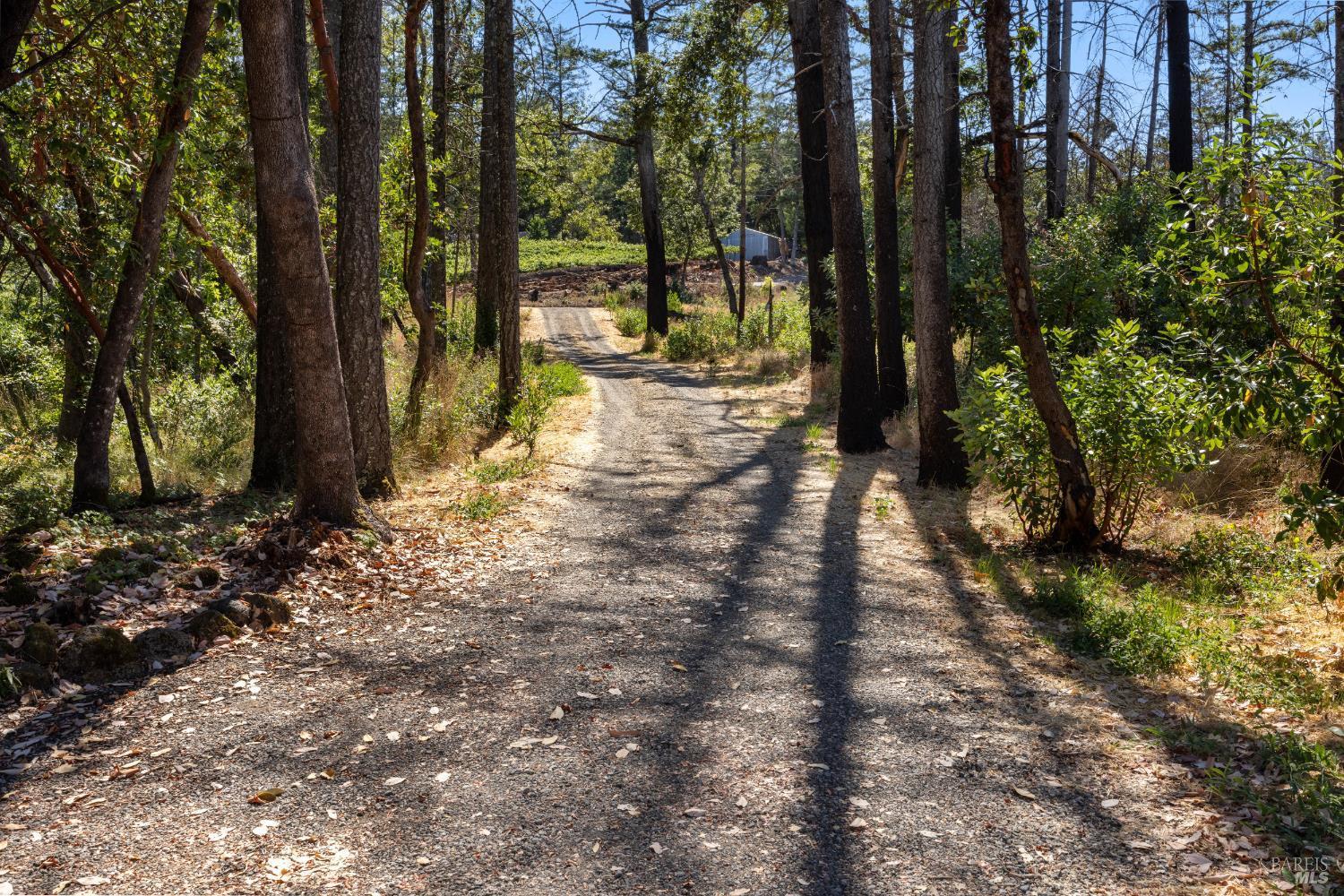 St. Helena, California, 94574, United States, 2 Bedrooms Bedrooms, ,2 BathroomsBathrooms,Residential,For Sale,1975213