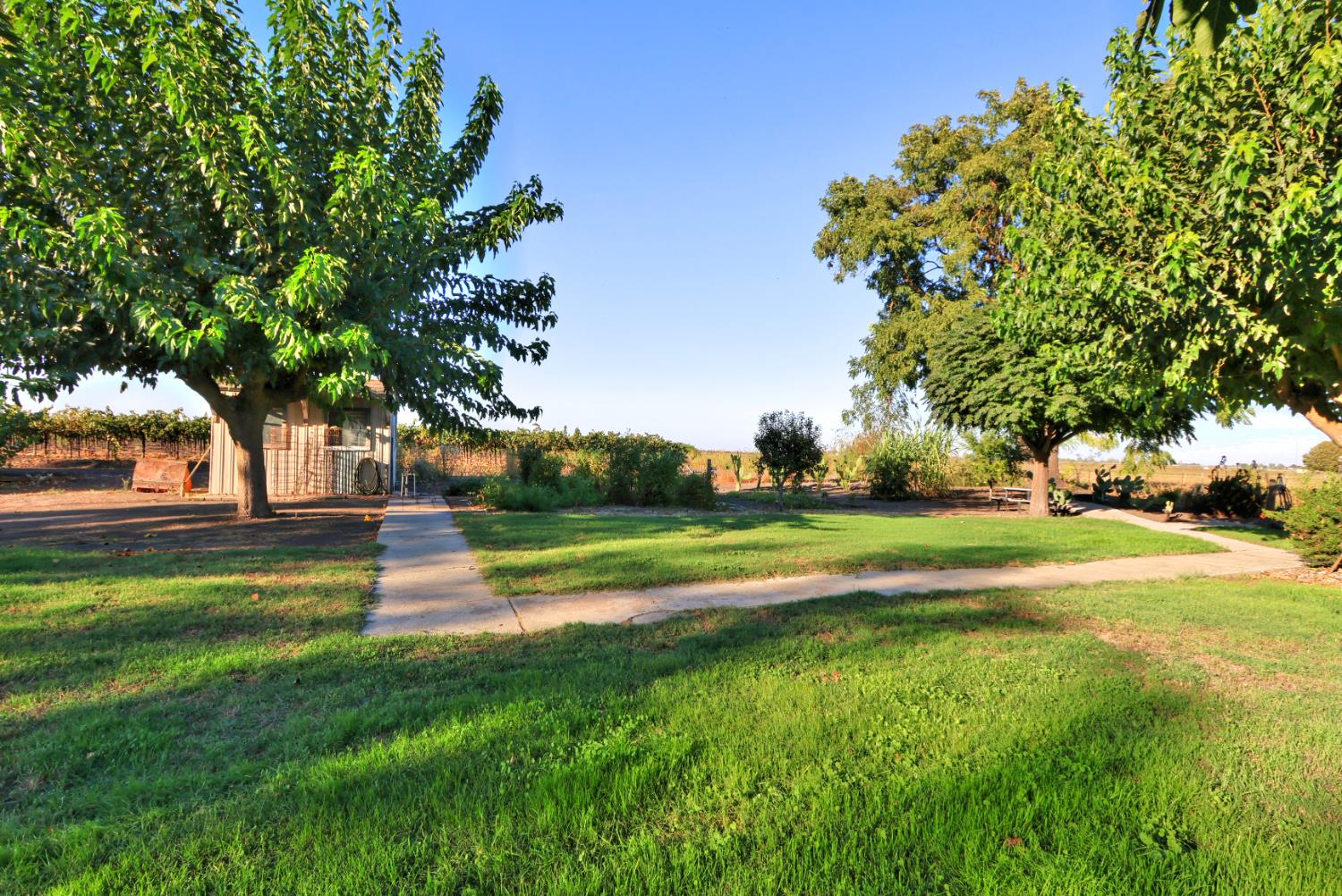 Walnut Grove, California, 95690, United States, 5 Bedrooms Bedrooms, ,3 BathroomsBathrooms,Residential,For Sale,1957042