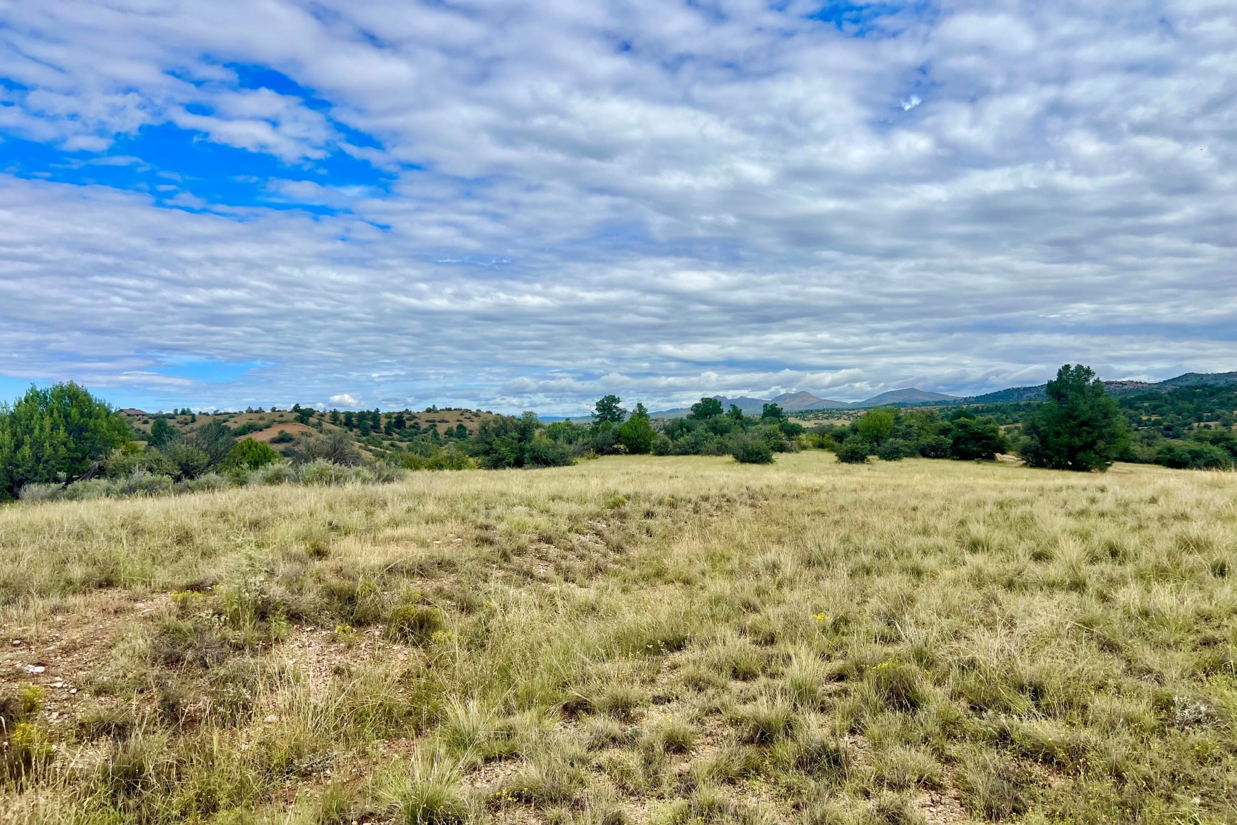  14565 N Puntenney Road¦Prescott, AZ - 物件實景