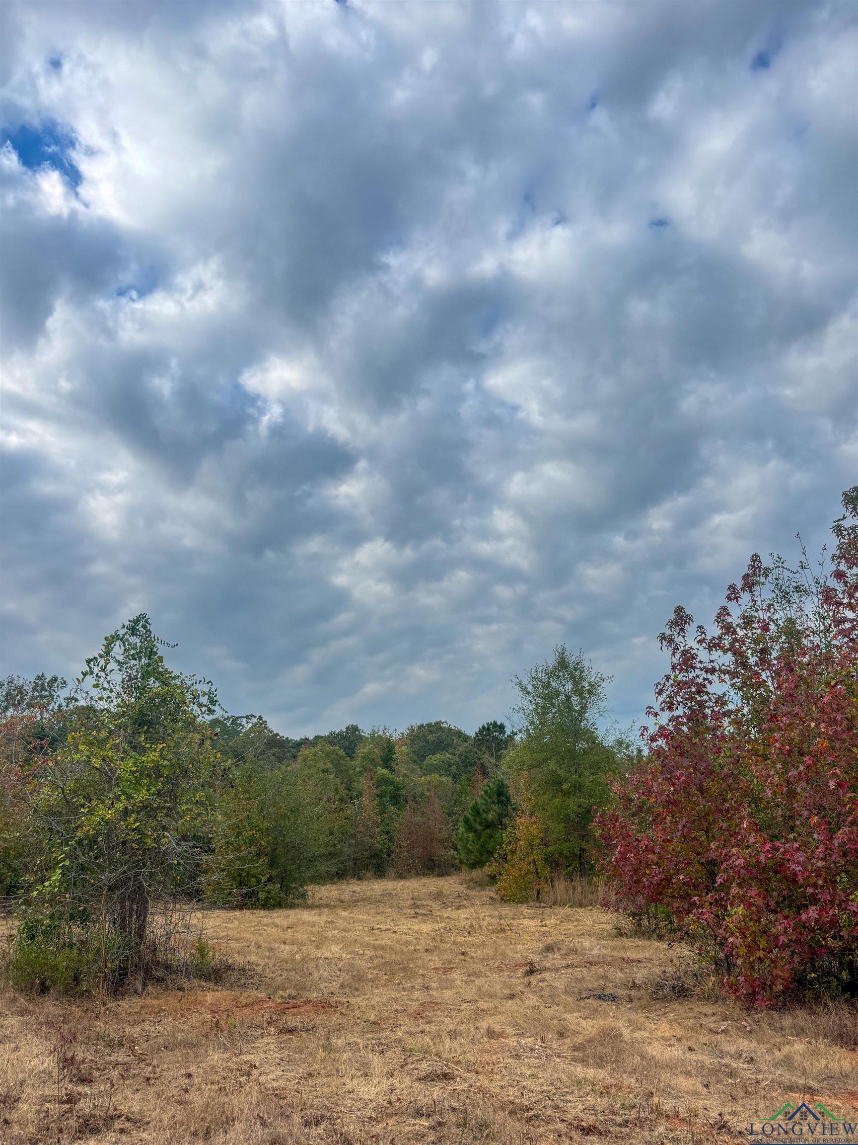 Marietta, Texas, 75566, United States, ,Land,For Sale,1977958