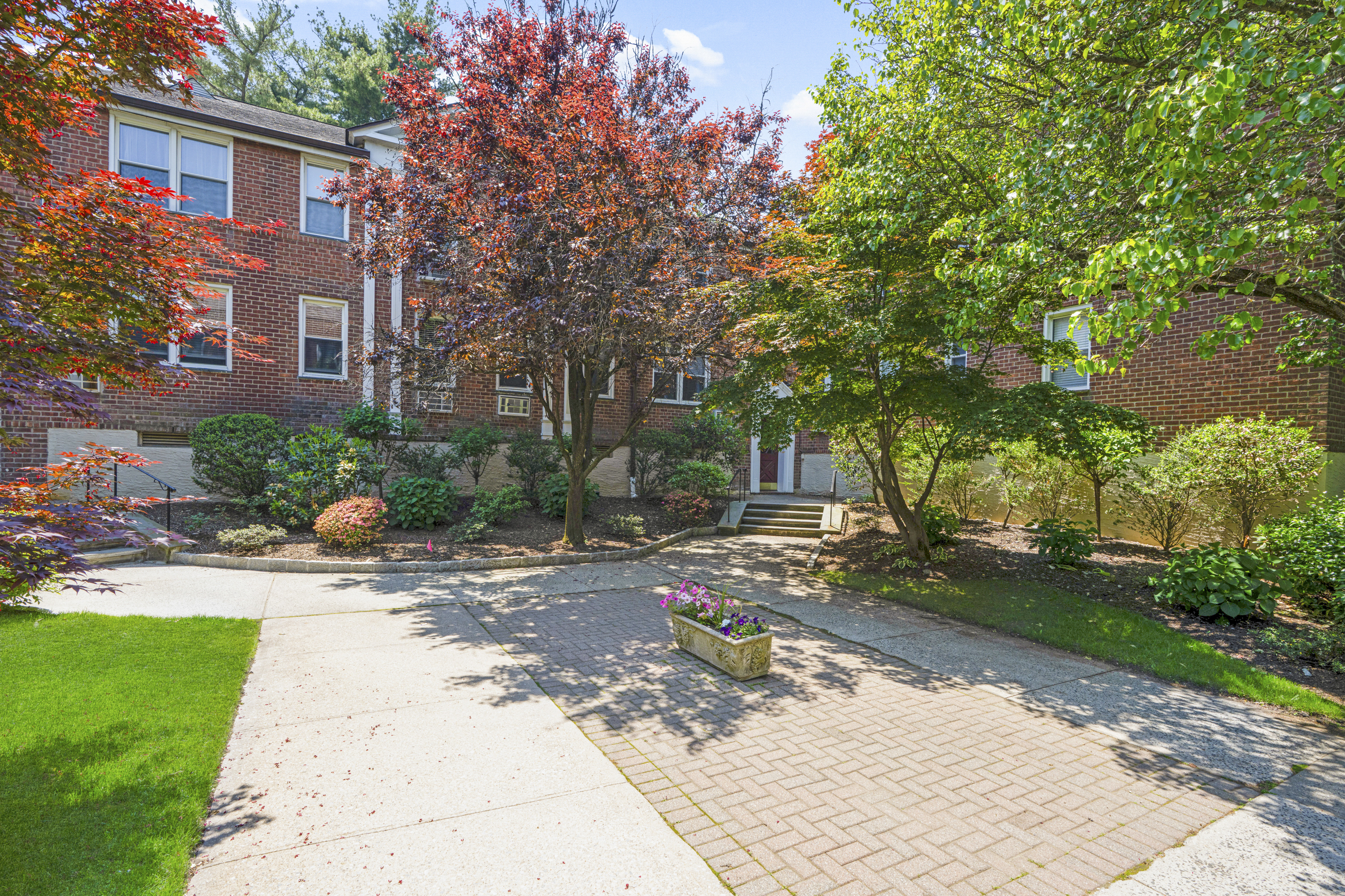  Beautiful Palmer Terrace Co-op - 物件實景