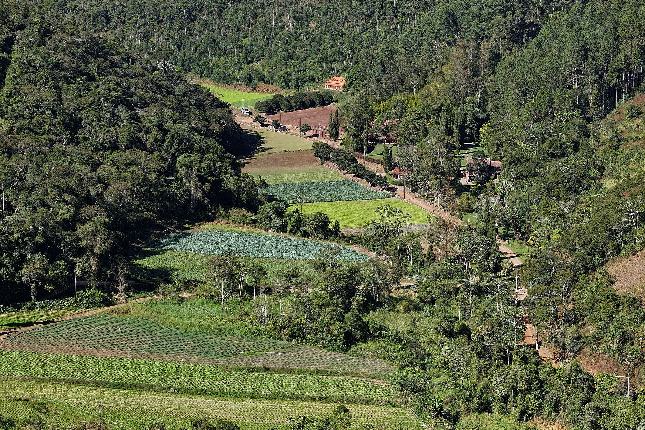  Productive estate spanning 865 acres in the mountains of Teresópolis - 物件實景