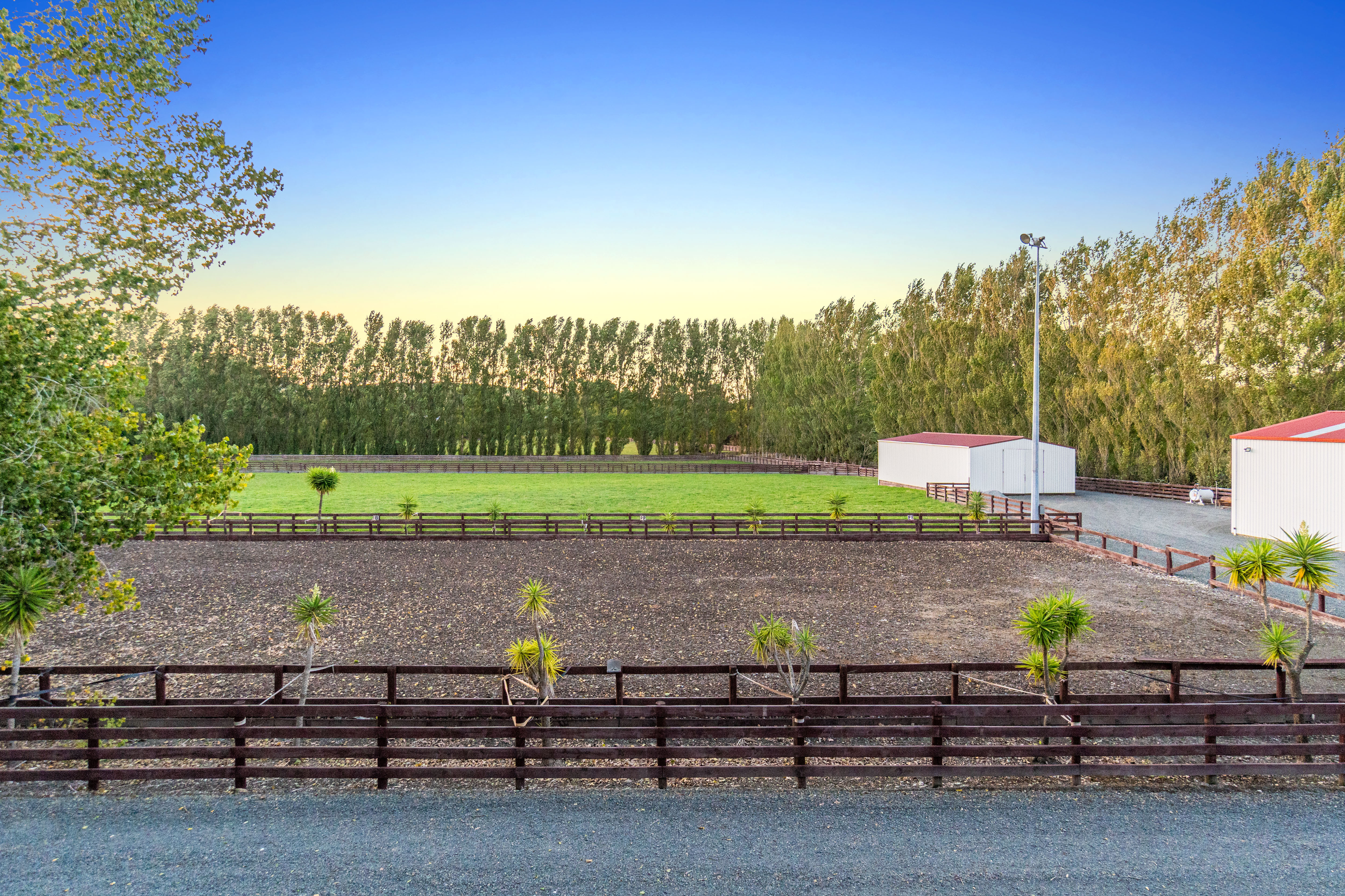  55 Postman Road, Dairy Flat - 物件實景