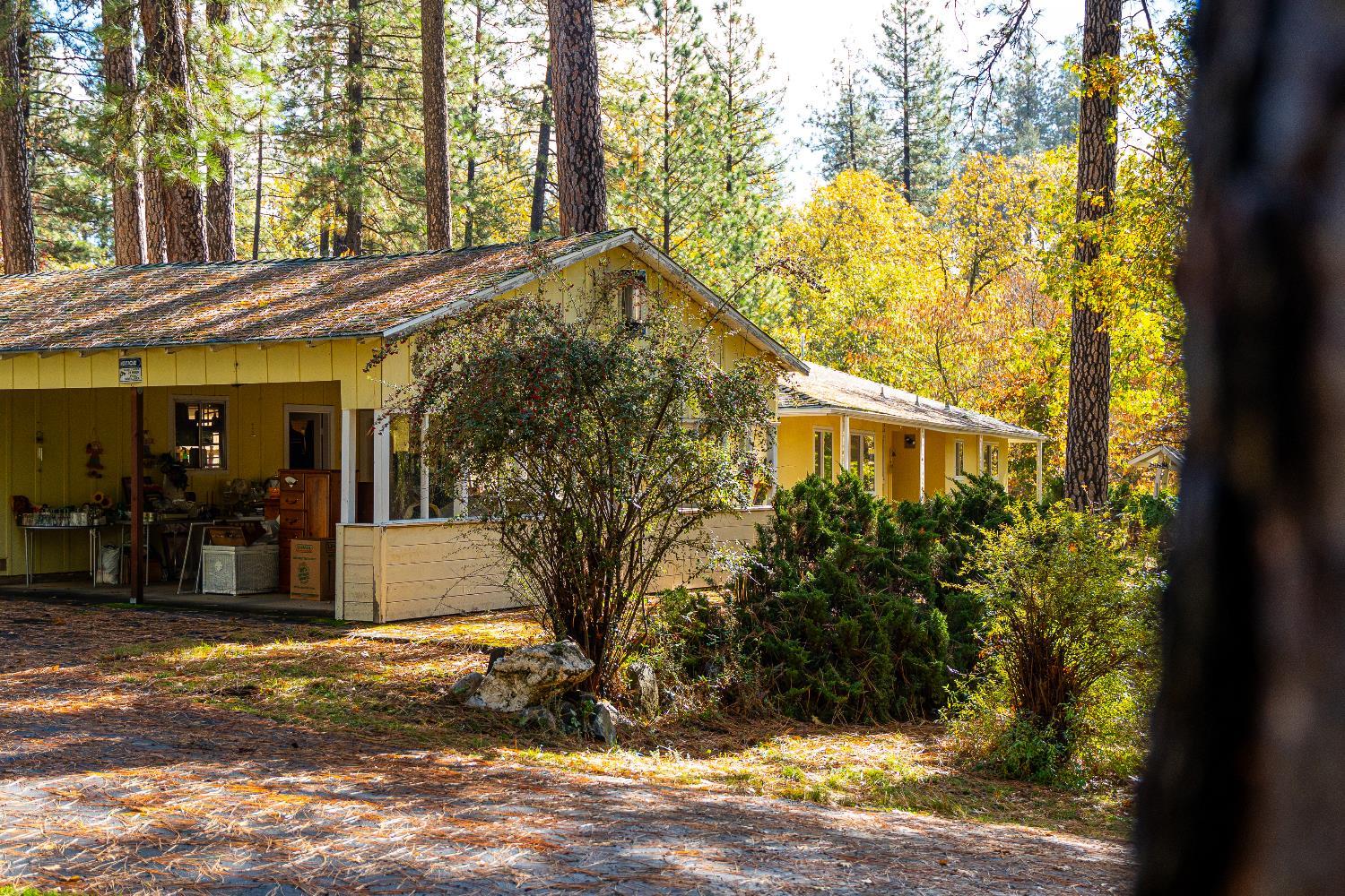 Colfax, California, 95713, United States, 3 Bedrooms Bedrooms, ,2 BathroomsBathrooms,Residential,For Sale,1987014