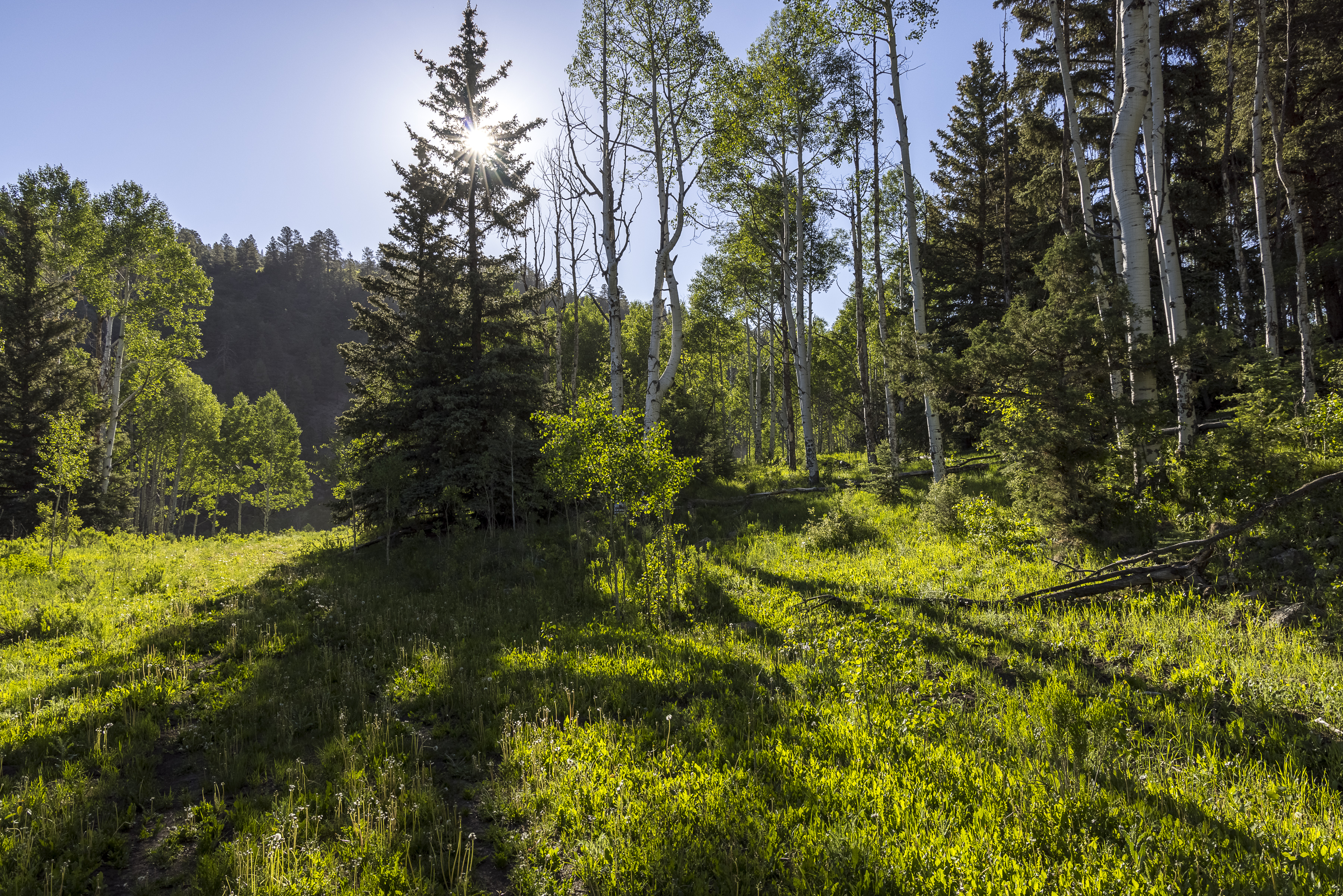  Telluride Renegade Ranch - 602 acres on Hastings Mesa - 物件實景