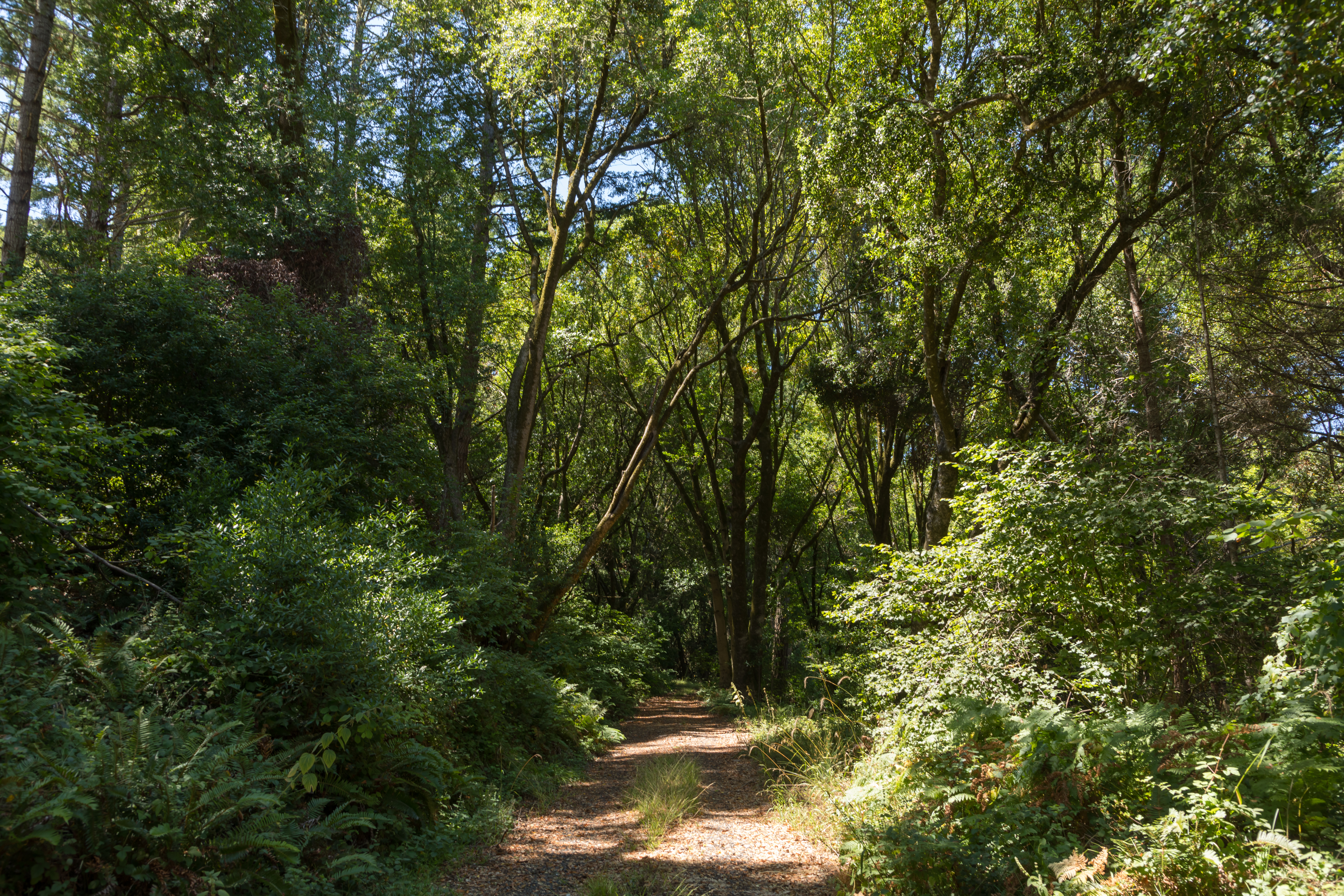  Find your Peace  in the Embrace of Nature - 物件實景