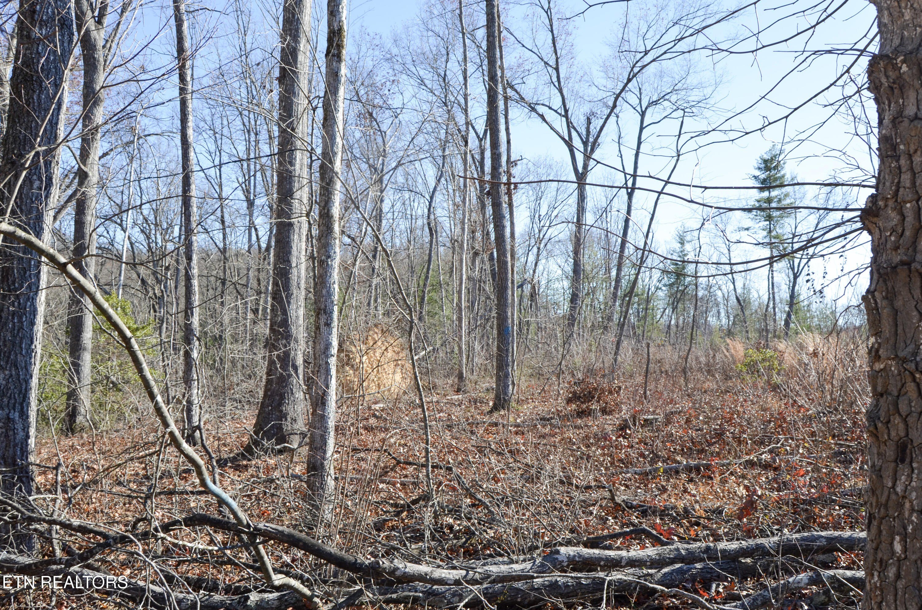 Crossville, Tennessee, 38555, United States, ,Land,For Sale,1978266