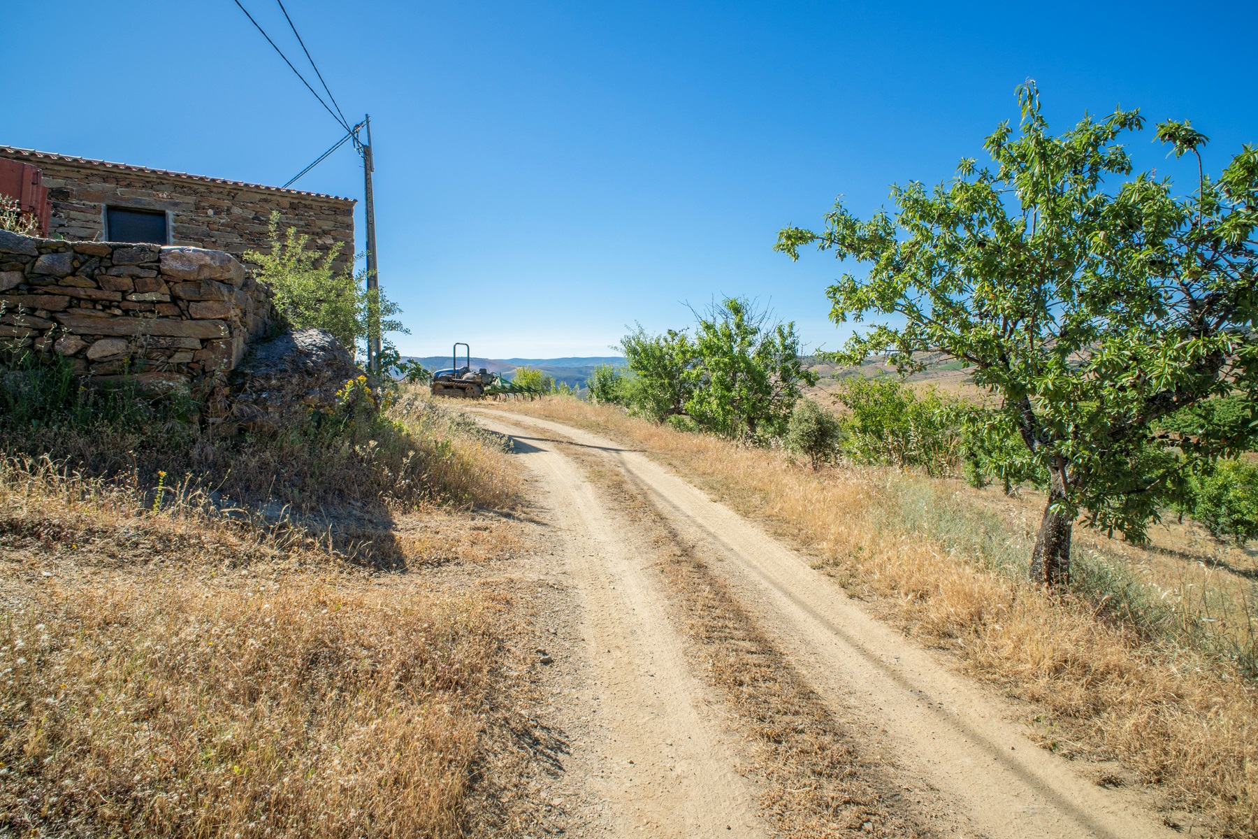  Country Estate for Sale - 物件實景