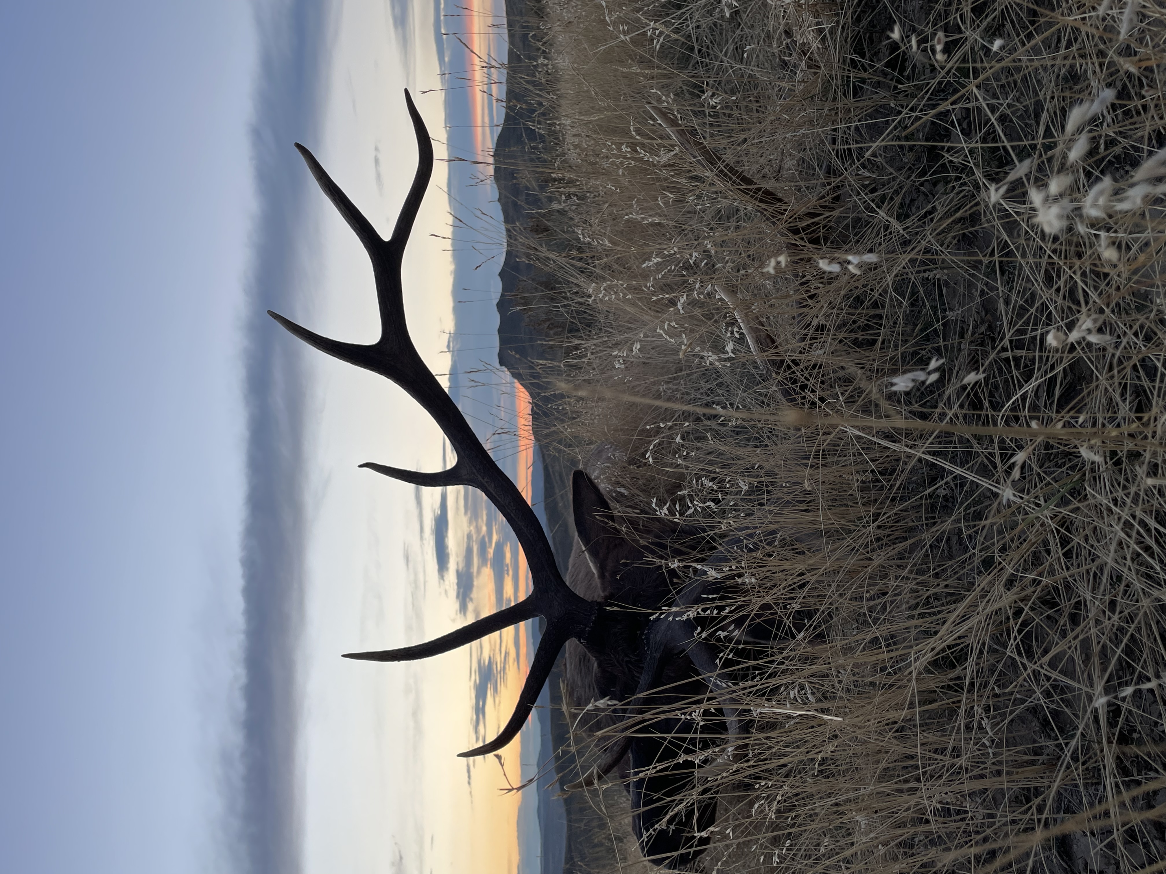 4355 US HWY 14-16, Clearmont, Wyoming, 82835, United States, 3 Bedrooms Bedrooms, ,1 BathroomBathrooms,Residential,For Sale,4355 US HWY 14-16,1513629