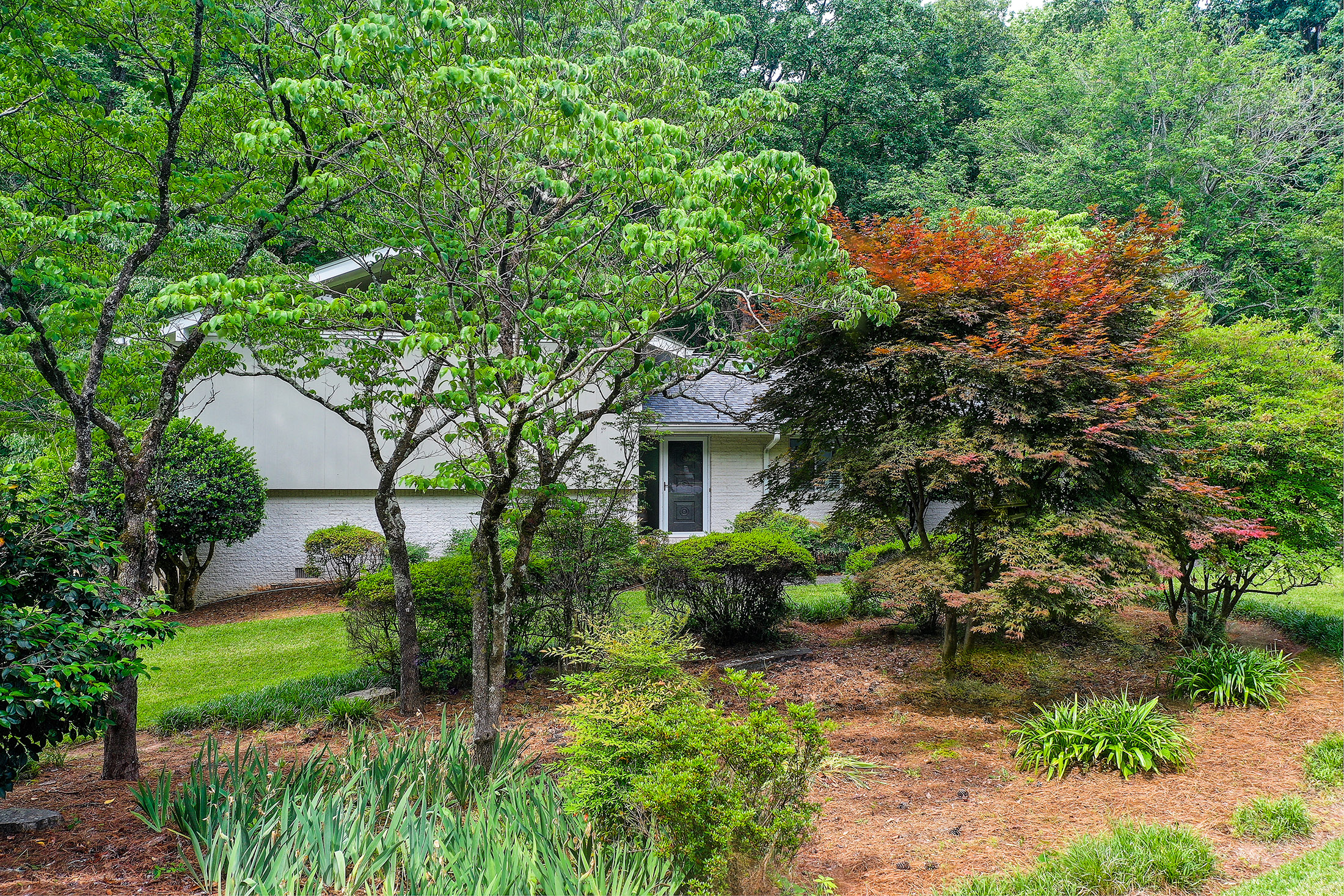  Mid-Century Modern Home on a Beautifully Landscaped Private Lot - 物件實景