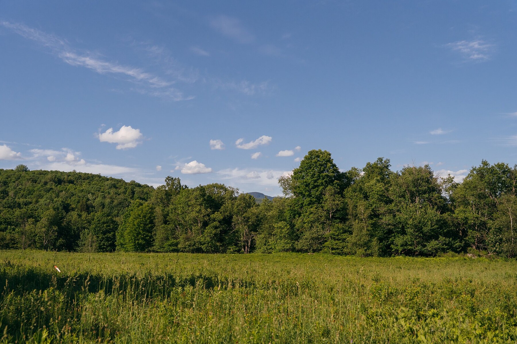  Sutton, Eastern Townships - 物件實景