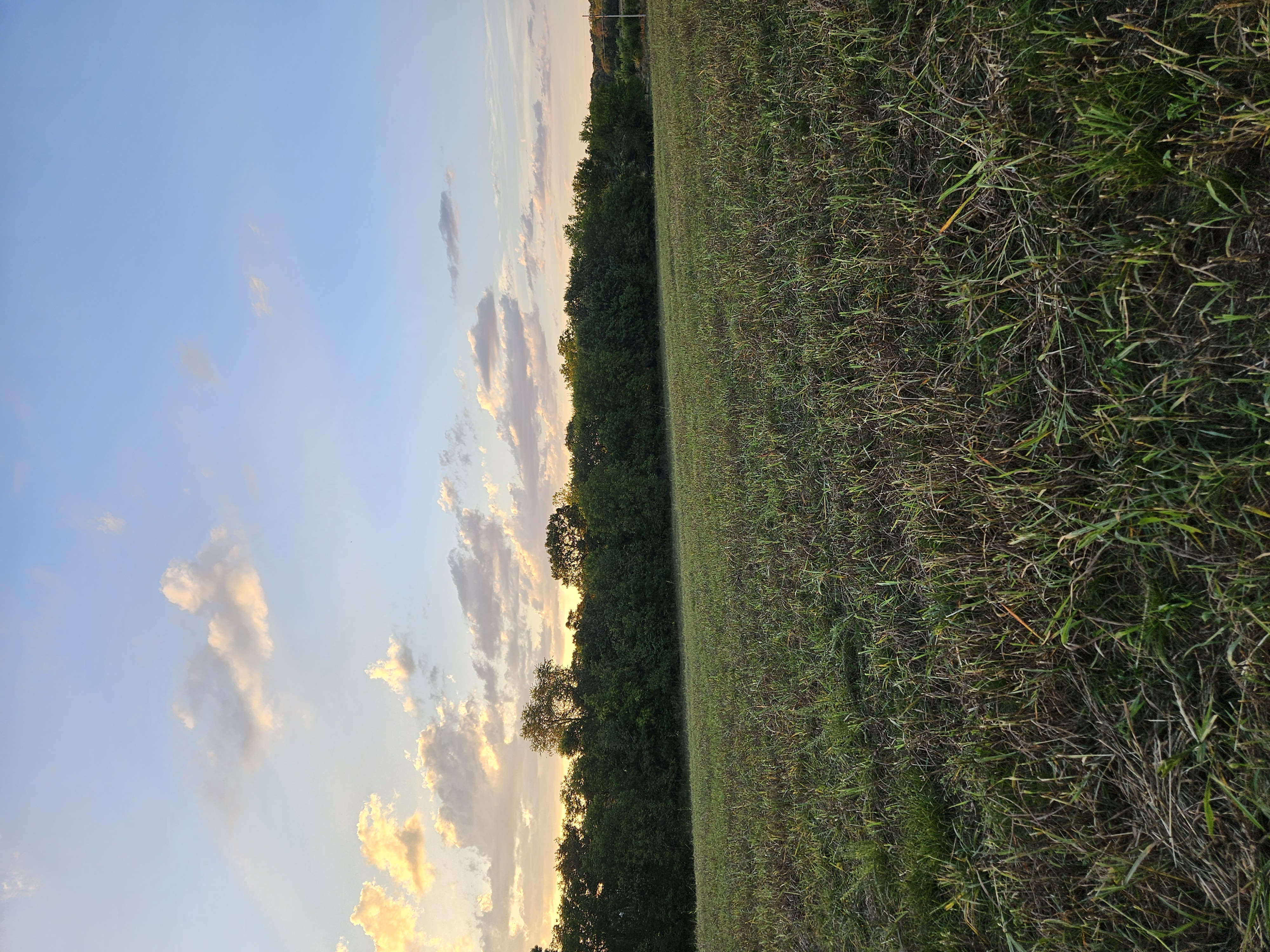 Pierce City, Missouri, 65723, United States, 5 Bedrooms Bedrooms, ,3 BathroomsBathrooms,Residential,For Sale,1984282