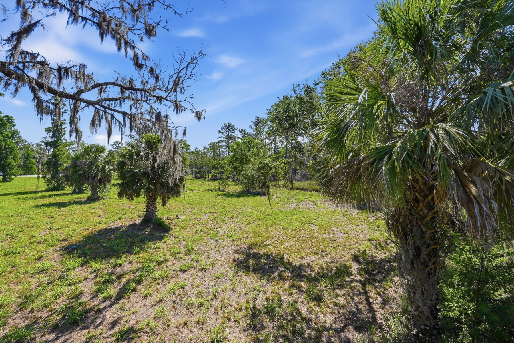 1155 Bridle Path Boulevard, Hardeeville - 物件實景