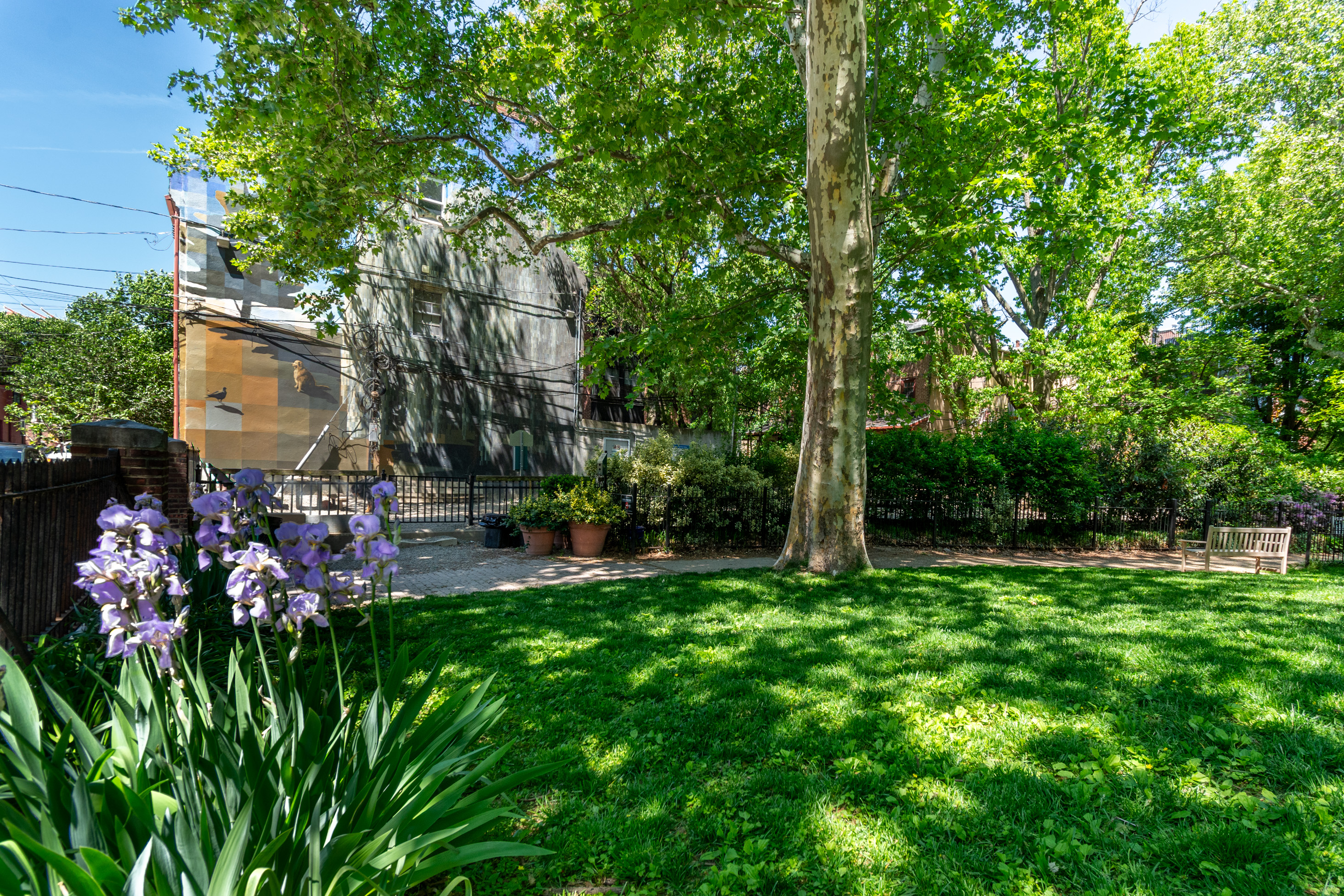  Vibrant Queen Village Gem - 物件實景
