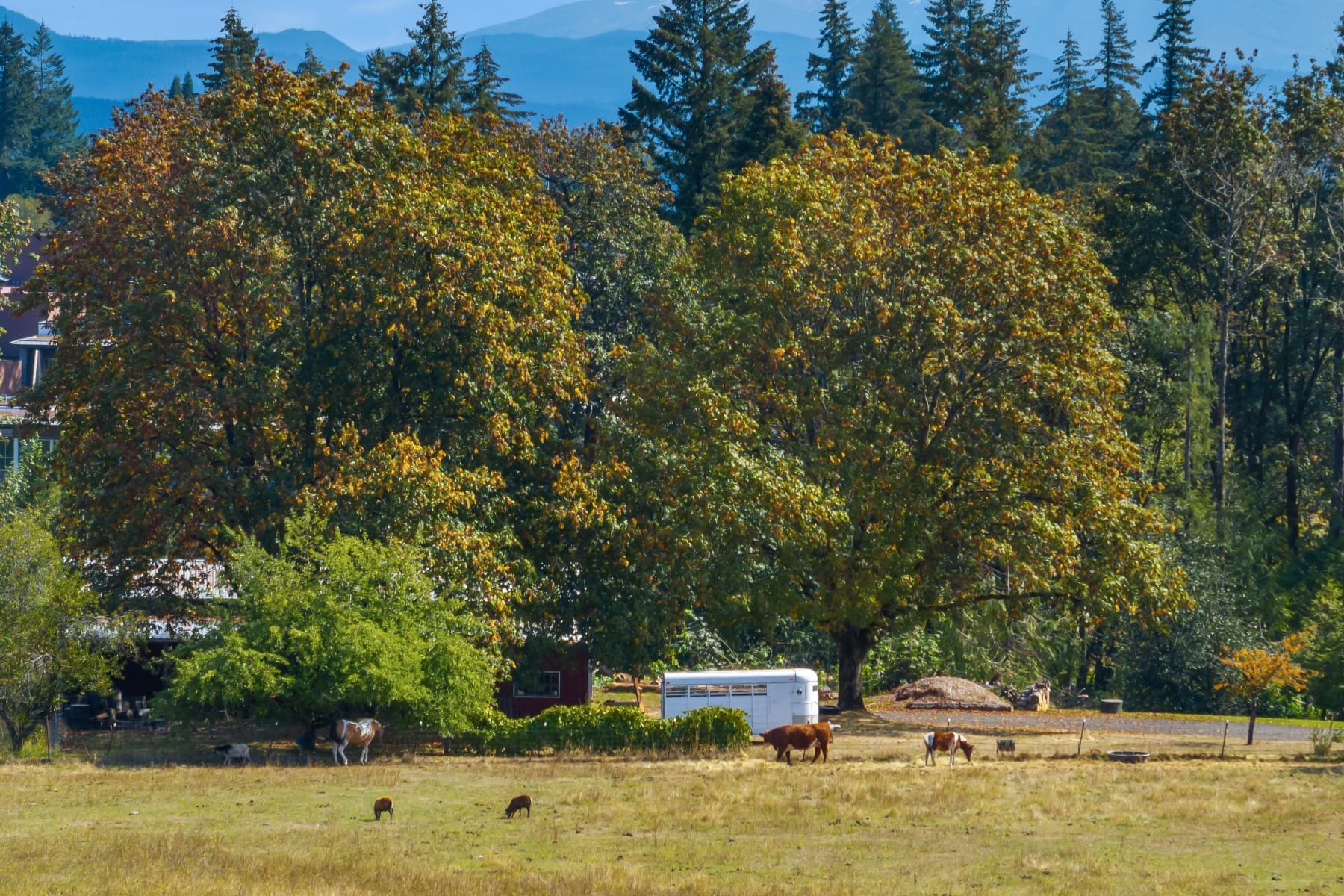  16370 Bell ST Sandy, OR 97055 - 物件實景
