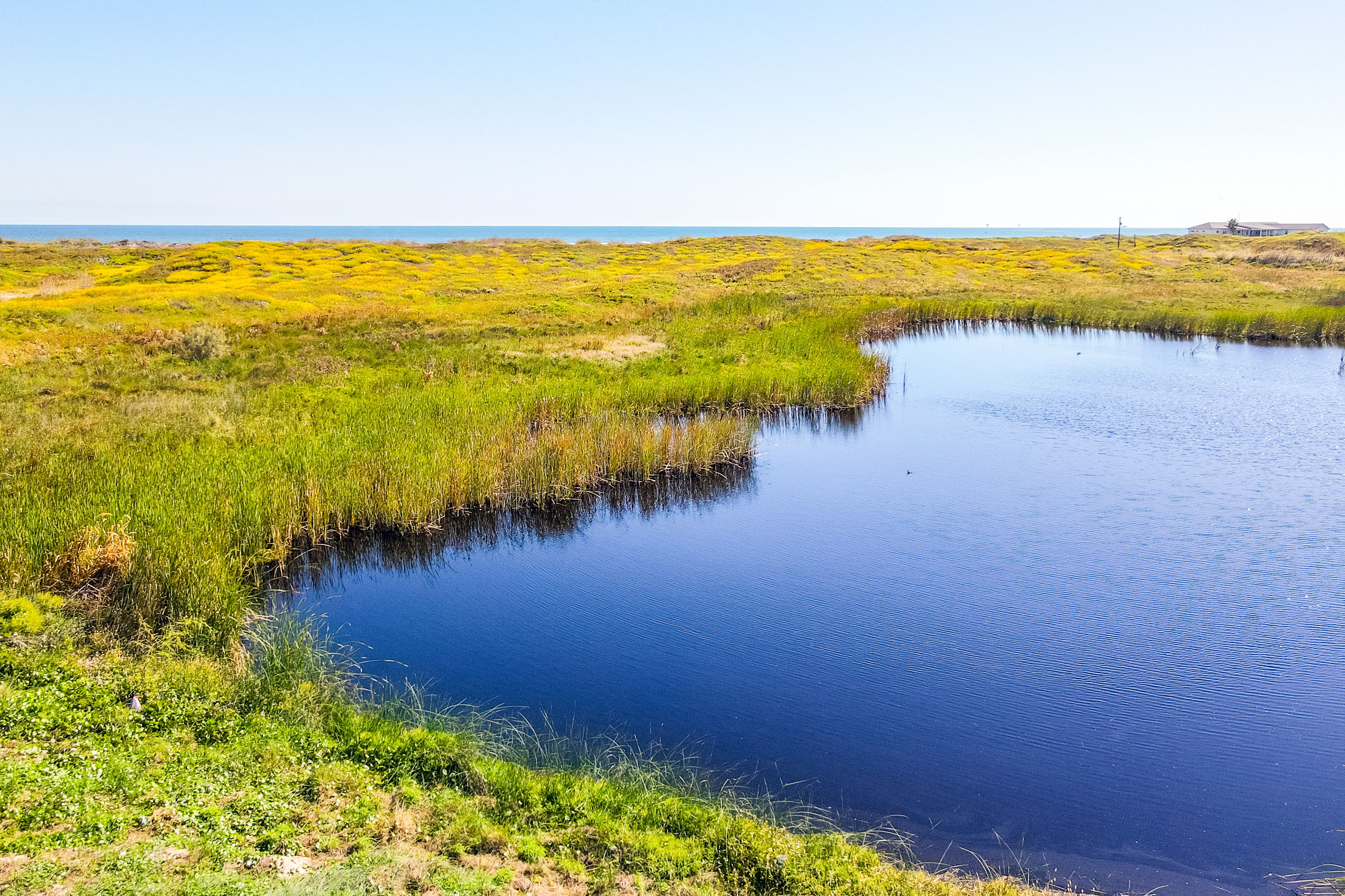 Seaside Lot with Pond View & Gulf Glimpses - 物件實景