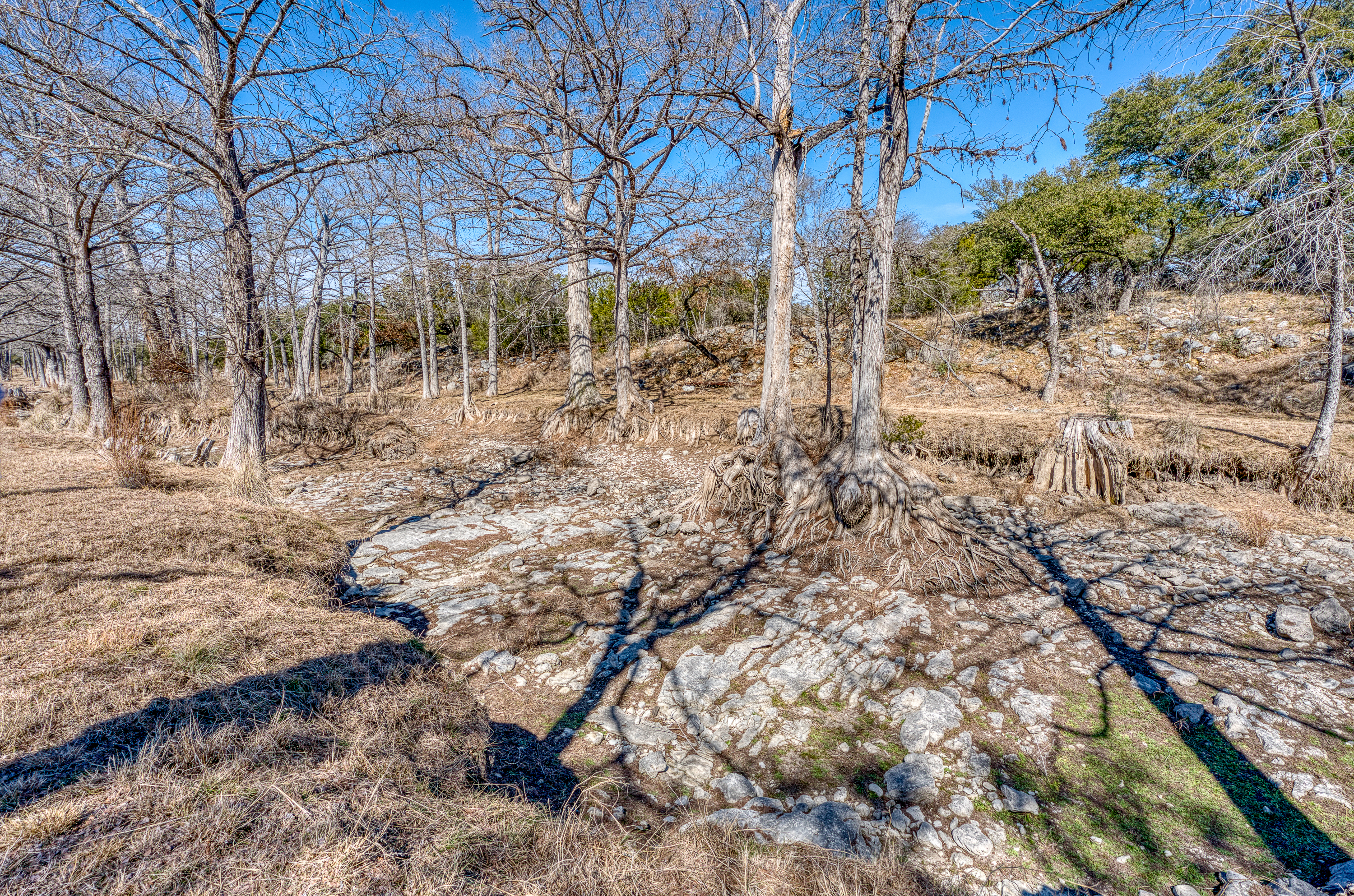  Cypress Island Ranch in Blanco County - 物件實景
