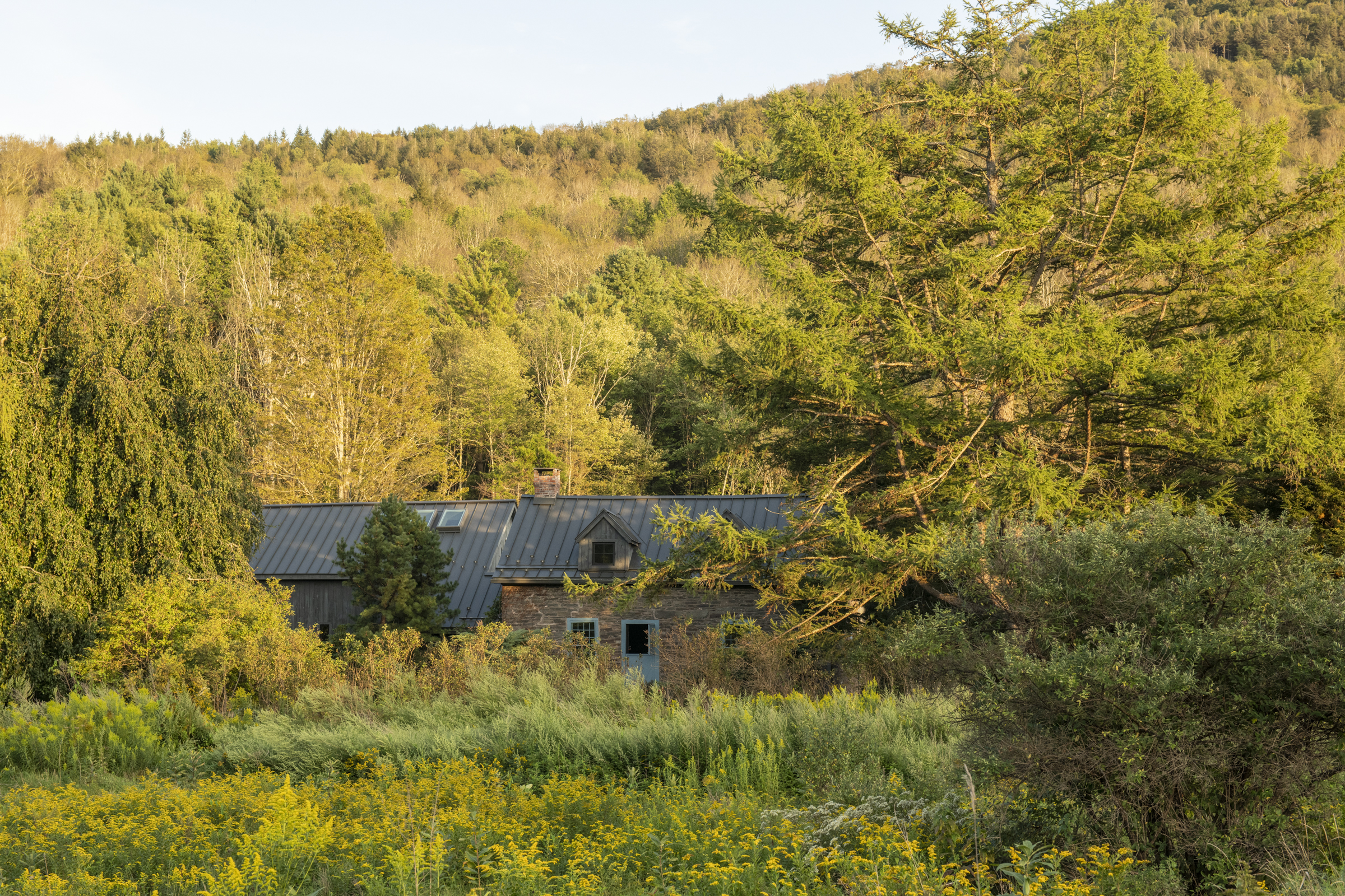  38 Van Road, Lexington, NY 12452 - 物件實景