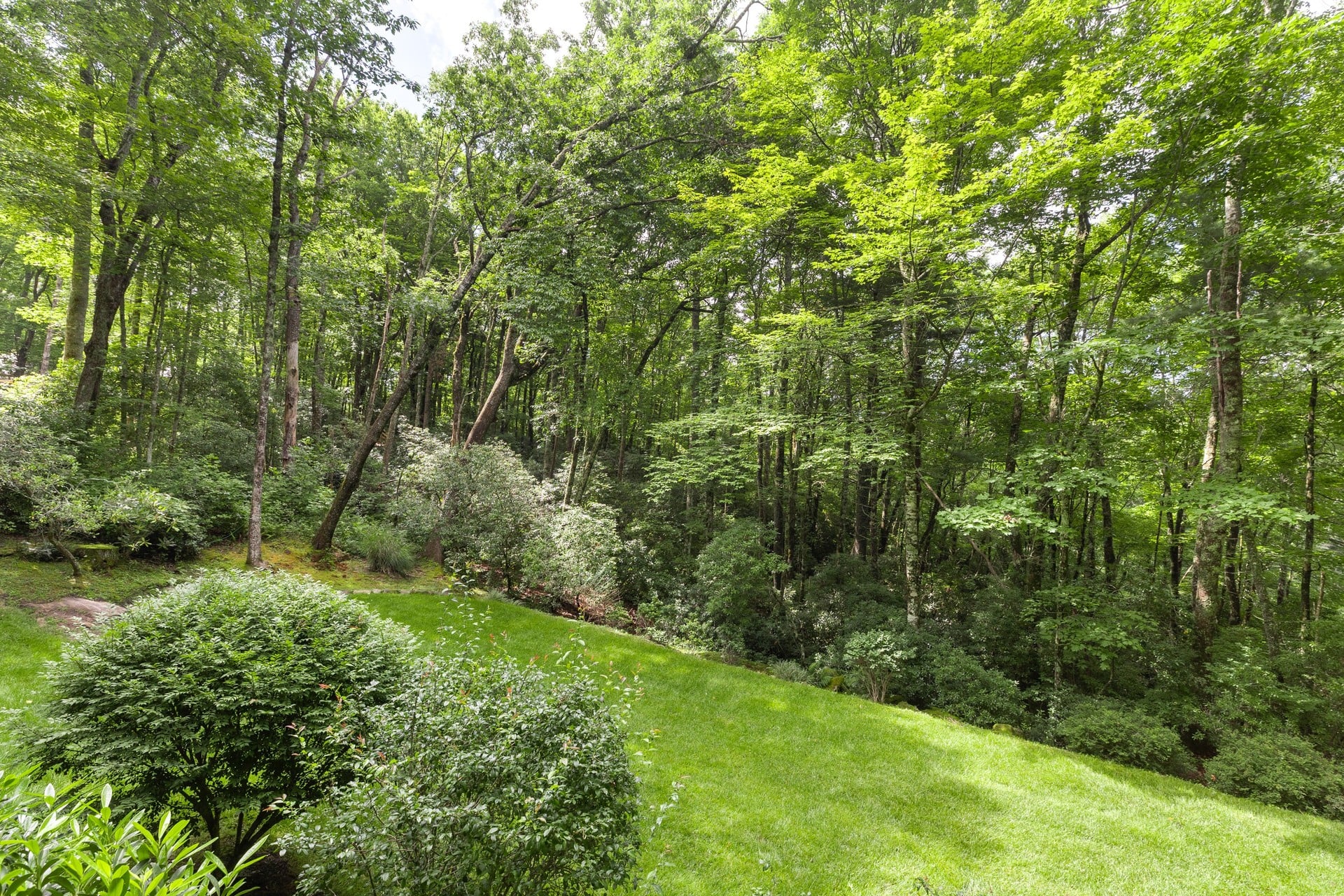  177 Forest Trail, Highlands, NC 28741 - 物件實景