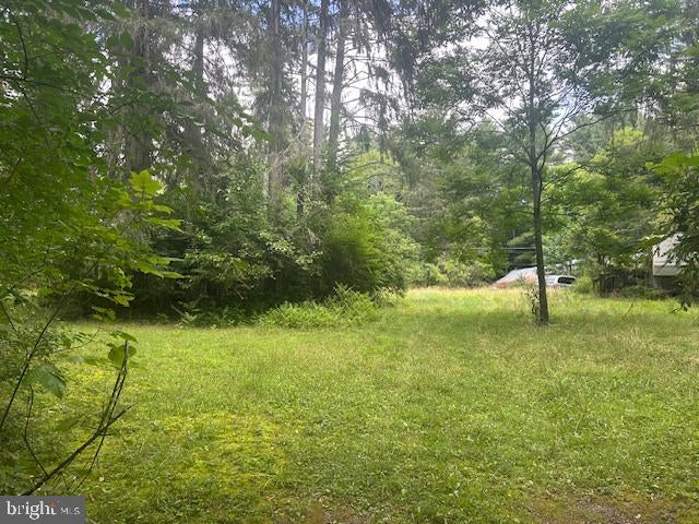 Jack Pine Cir, Milroy, PA 17063 #1