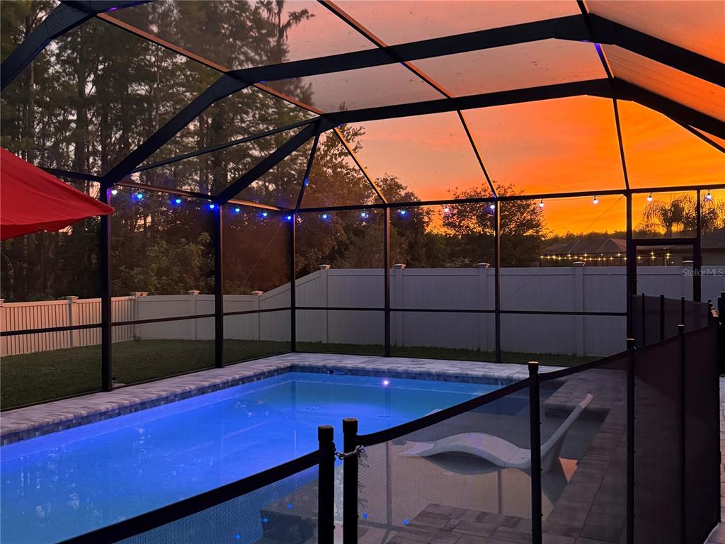 Trinity, Florida, 34655, United States, 4 Bedrooms Bedrooms, ,4 BathroomsBathrooms,Residential,For Sale,2044017