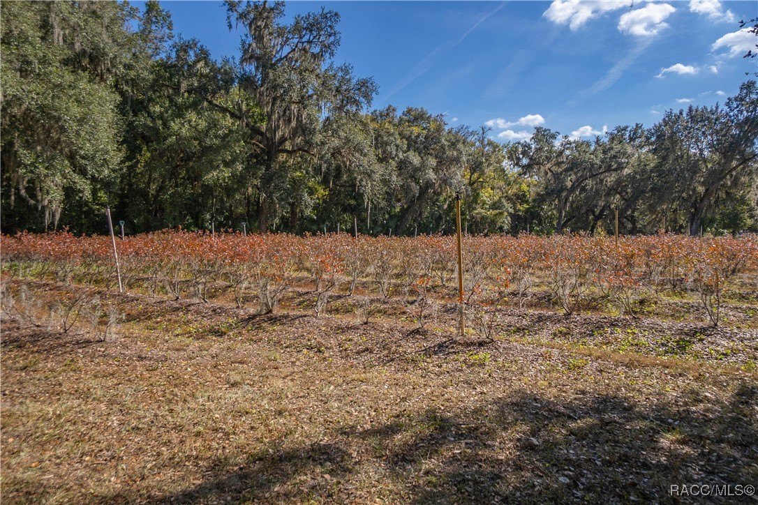 Inverness, Florida, 34450, United States, 4 Bedrooms Bedrooms, ,7 BathroomsBathrooms,Residential,For Sale,2005409