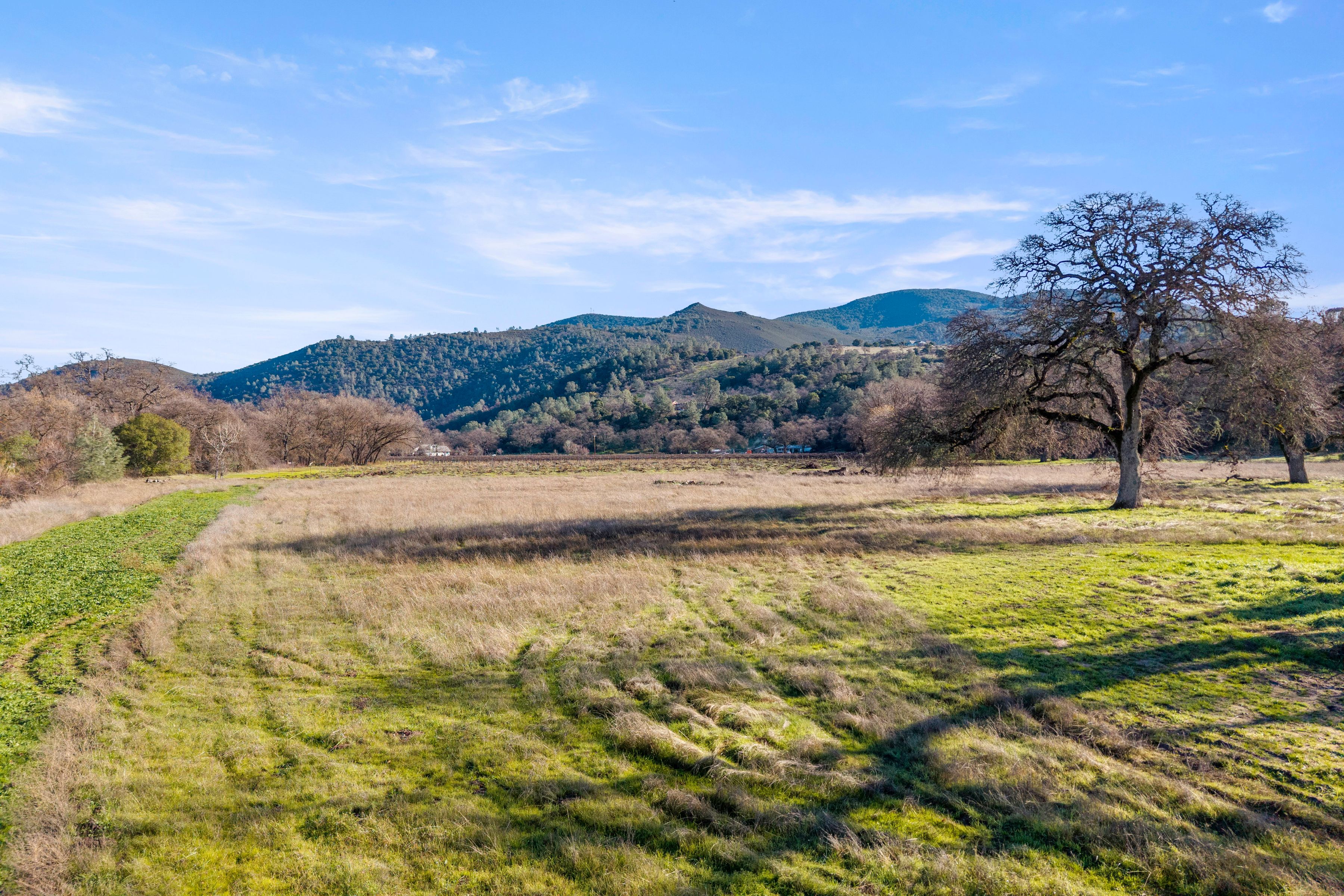  4962 Gaddy Lane - 物件實景